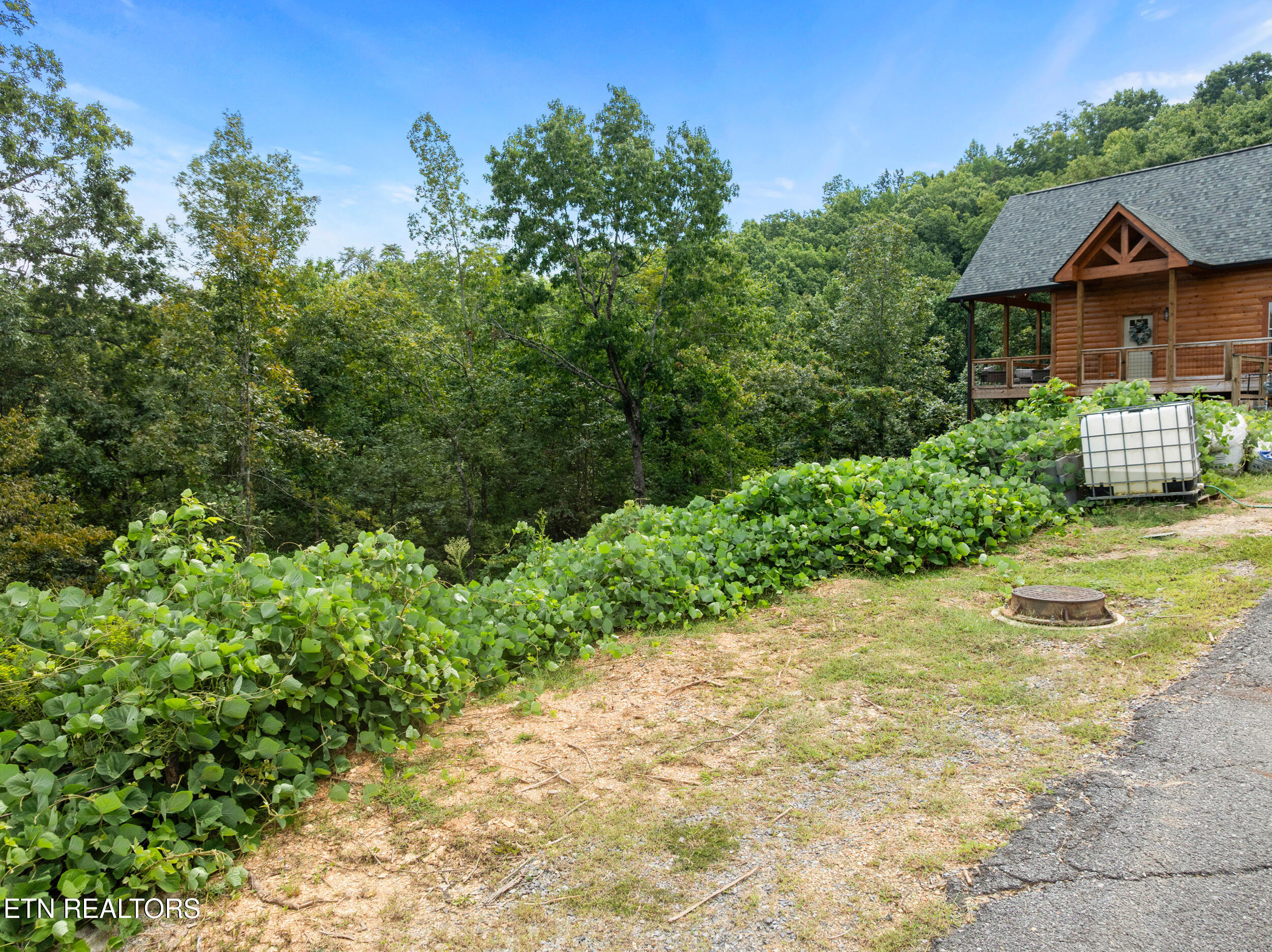 Pine Valley Way Pigeon Forge TN 37862