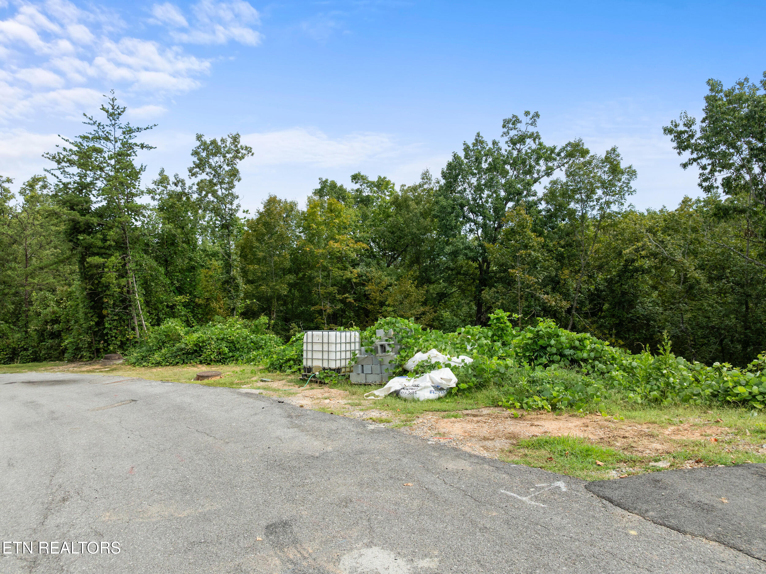 Pine Valley Way Pigeon Forge TN 37862
