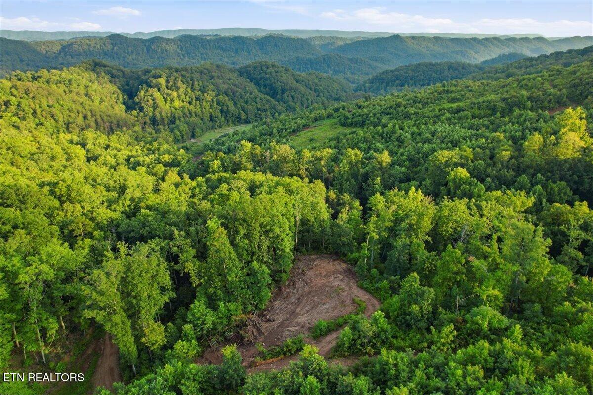 Tower Road Tazewell TN 37879