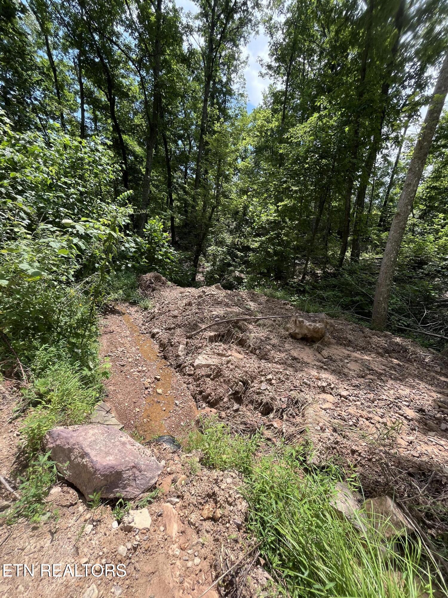 Tower Road Tazewell TN 37879