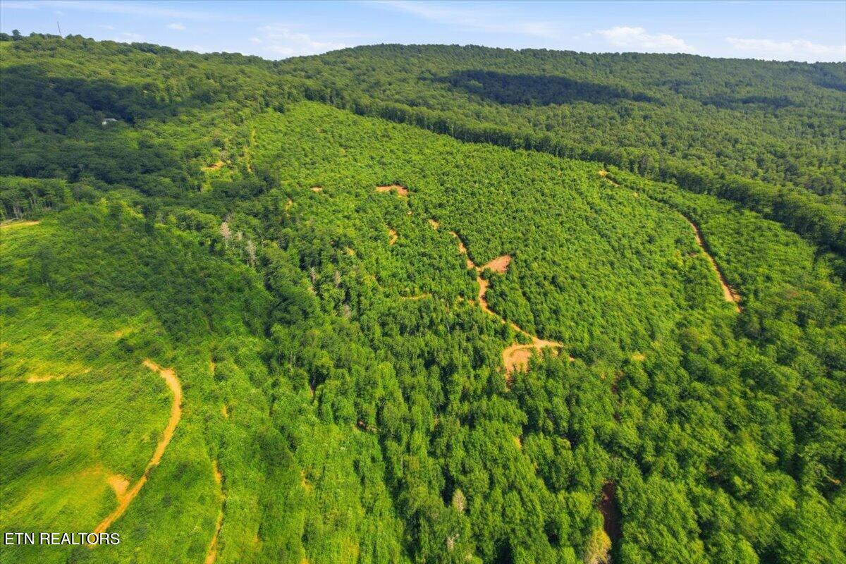 Tower Road Tazewell TN 37879