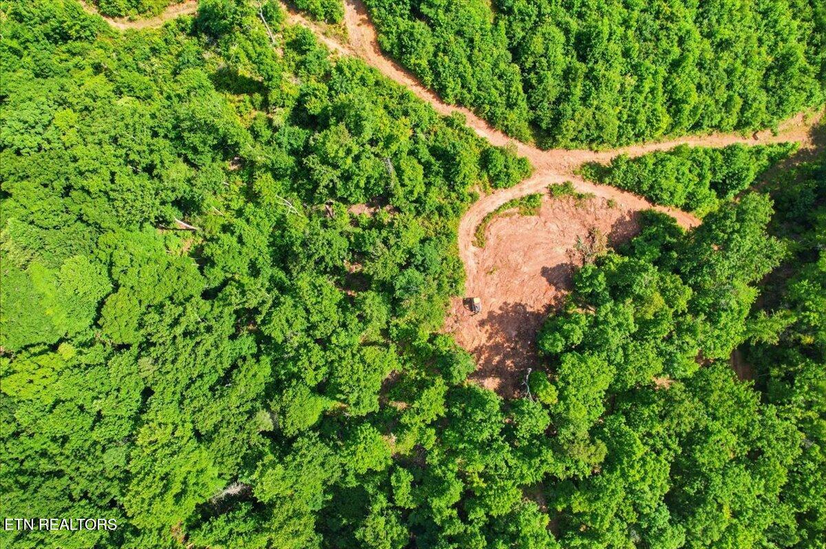 Tower Road Tazewell TN 37879