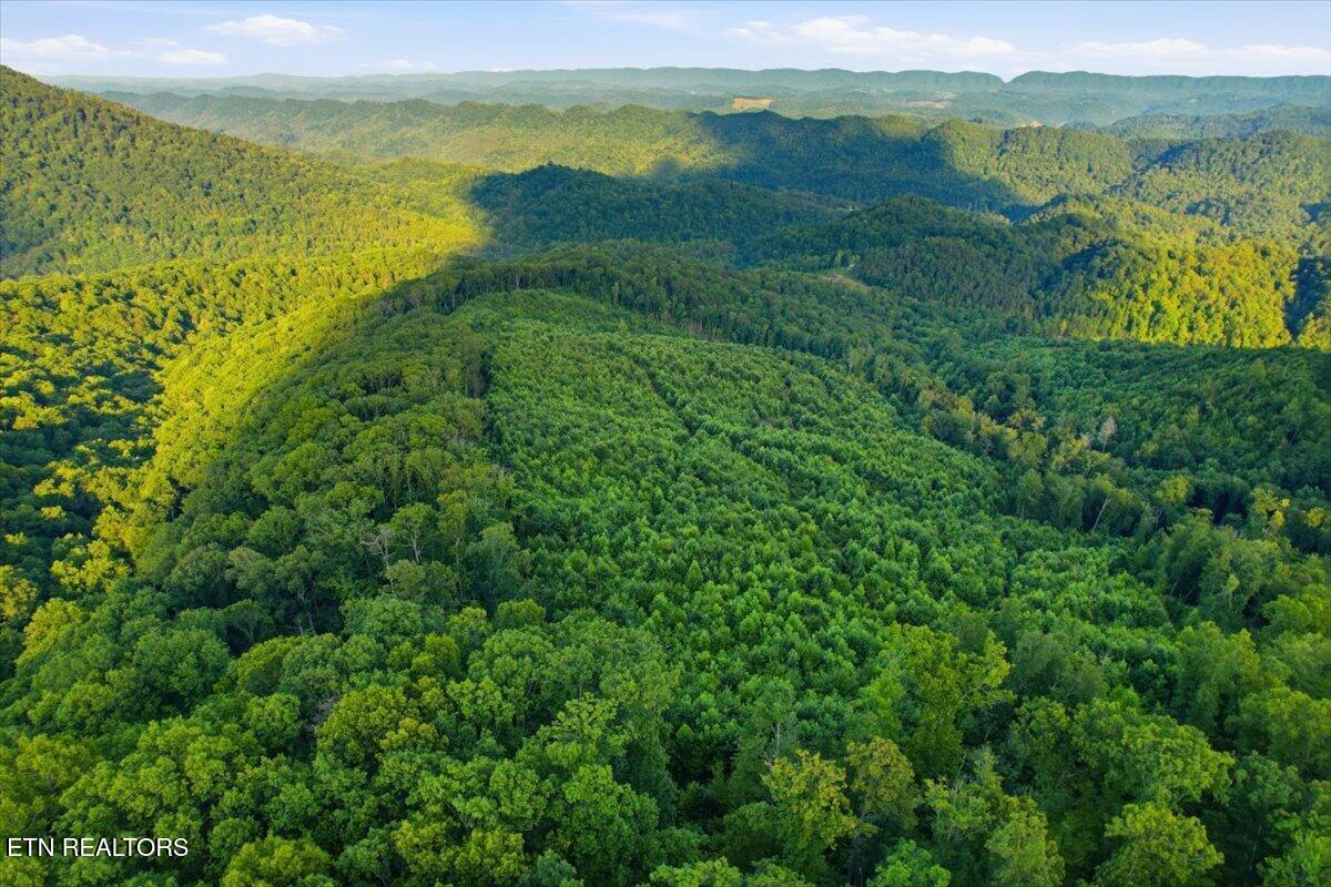 Tower Road Tazewell TN 37879