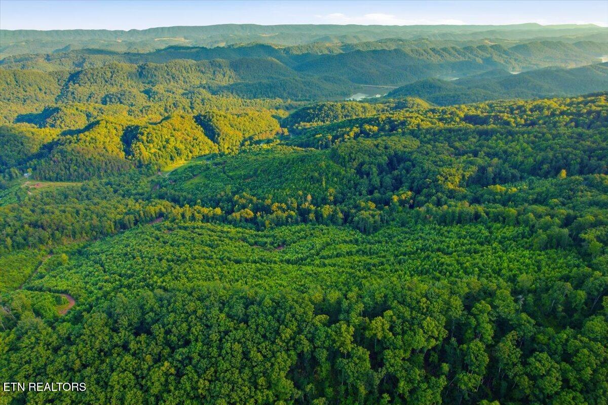 Tower Road Tazewell TN 37879