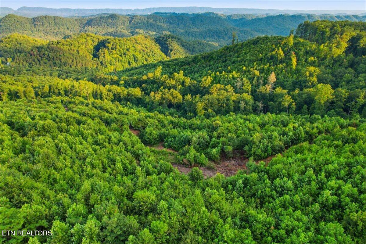 Tower Road Tazewell TN 37879