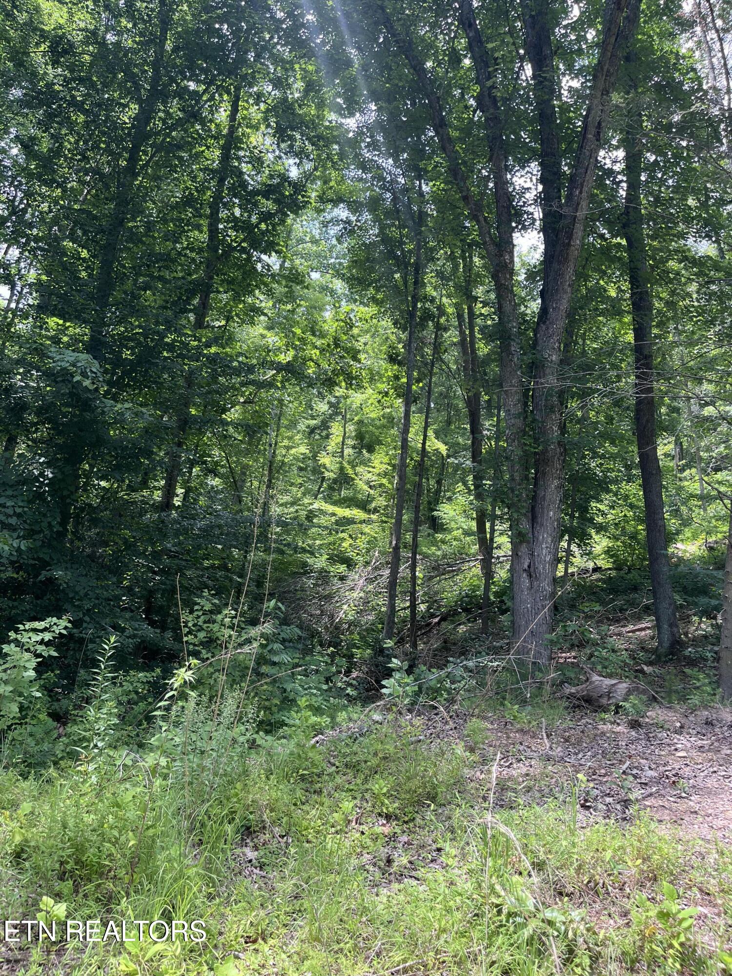 Tower Road Tazewell TN 37879