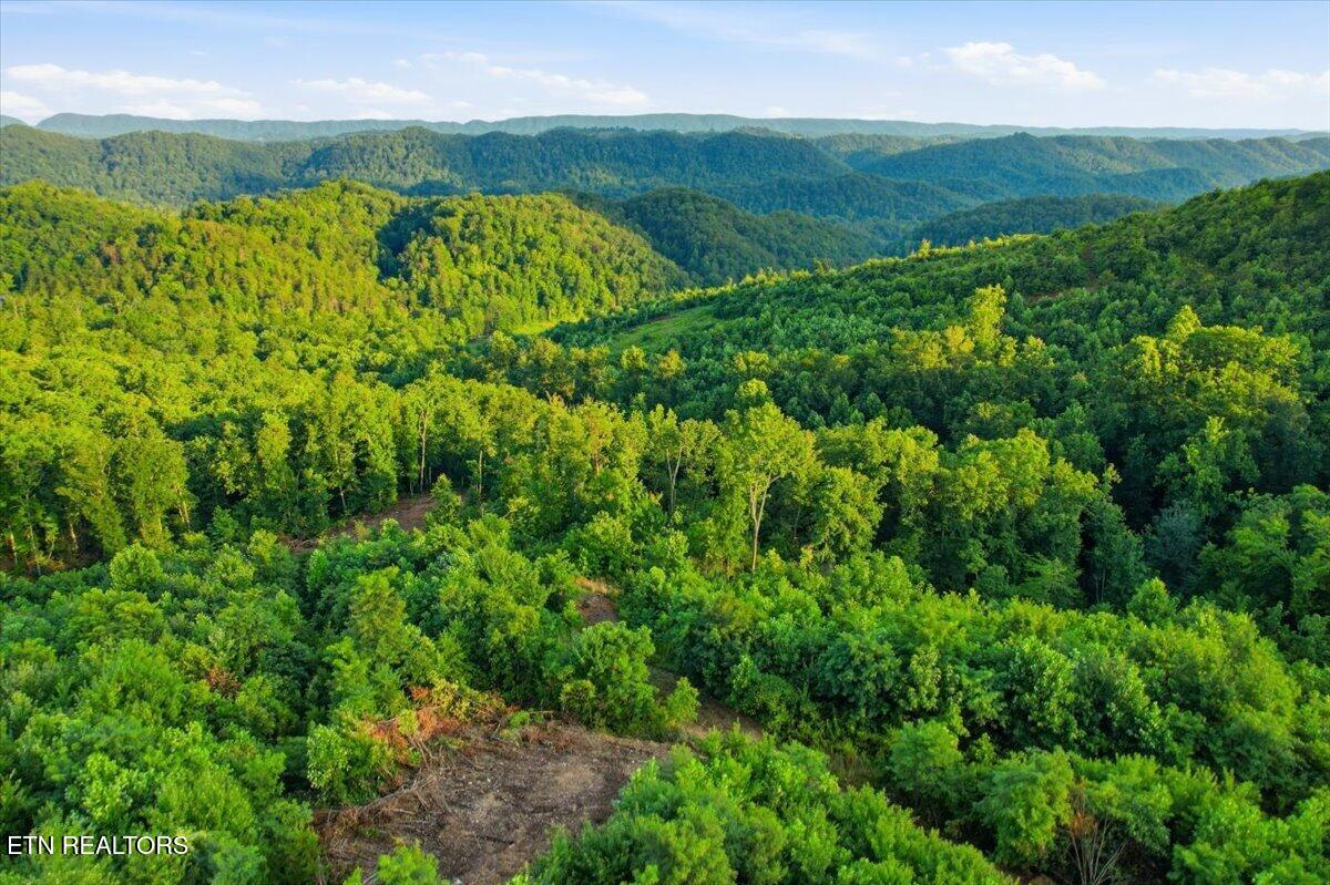 Tower Road Tazewell TN 37879