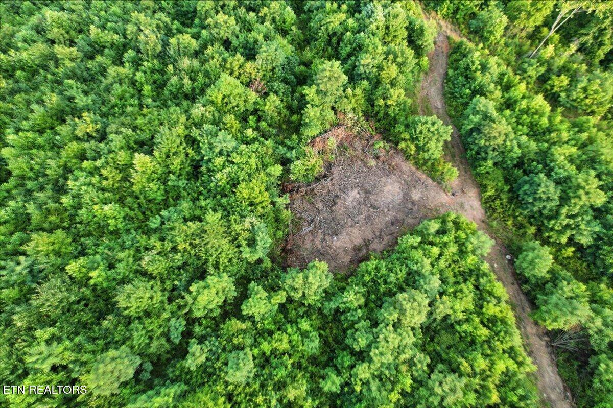 Tower Road Tazewell TN 37879