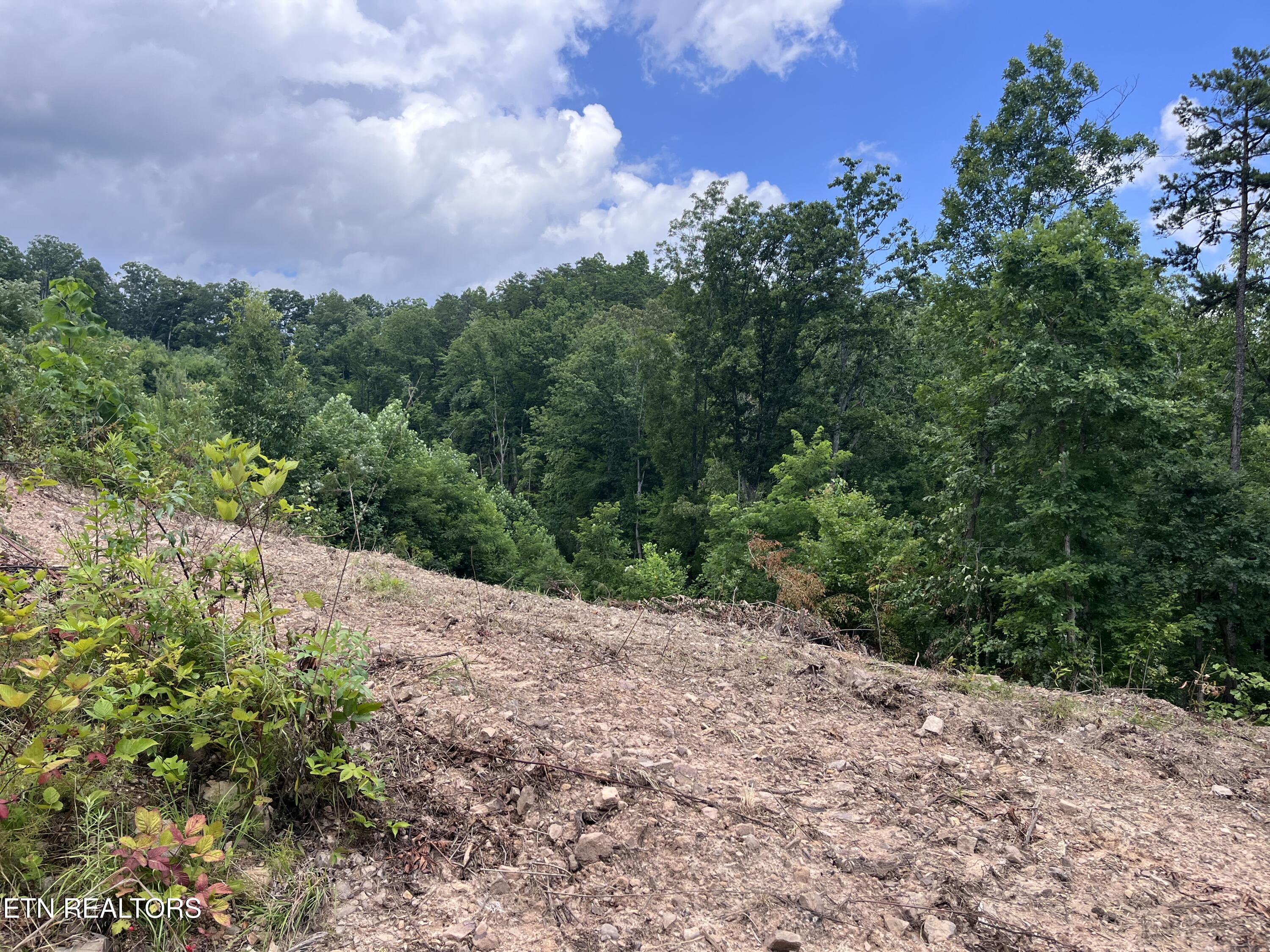 Tower Road Tazewell TN 37879