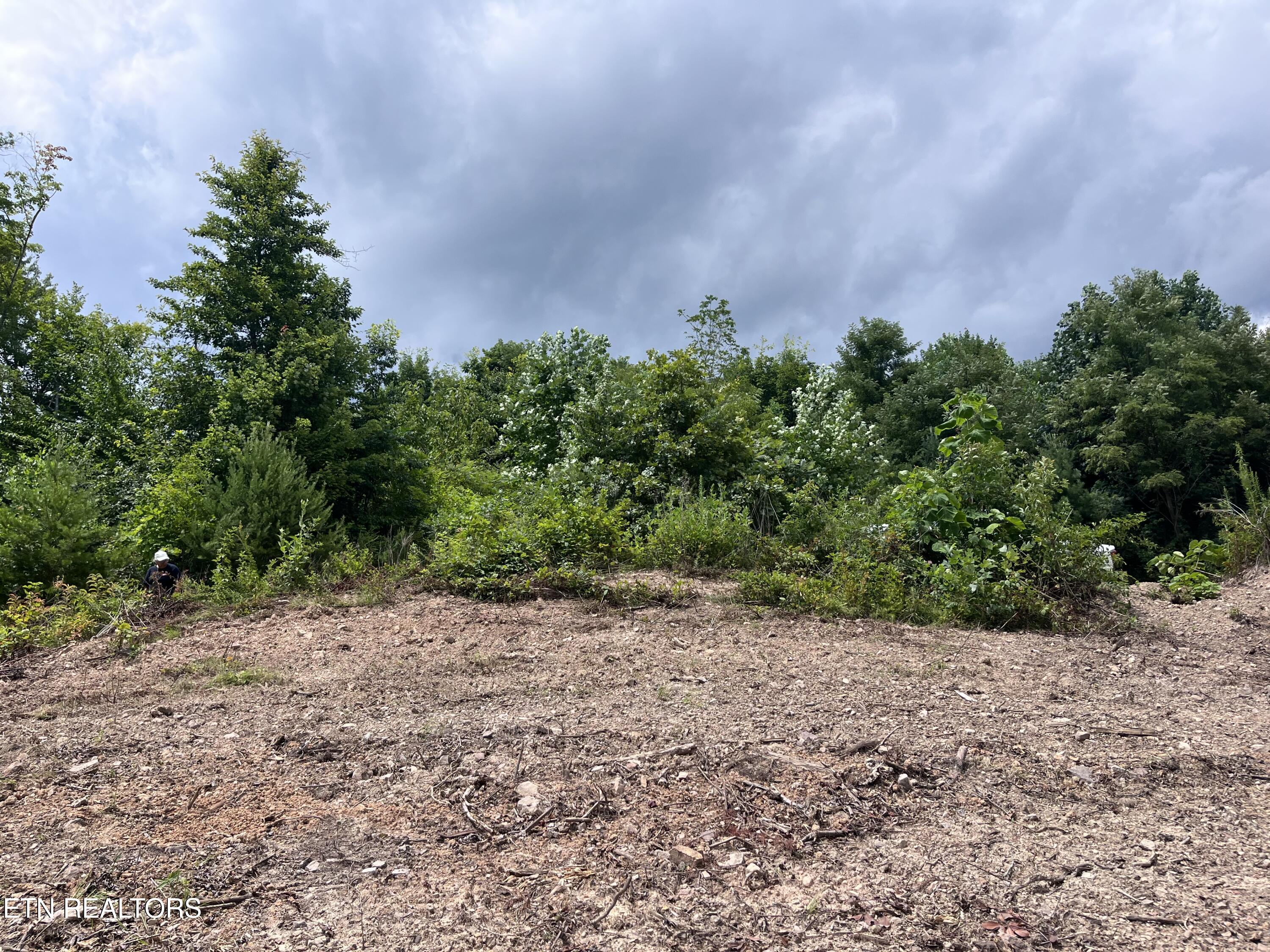 Tower Road Tazewell TN 37879
