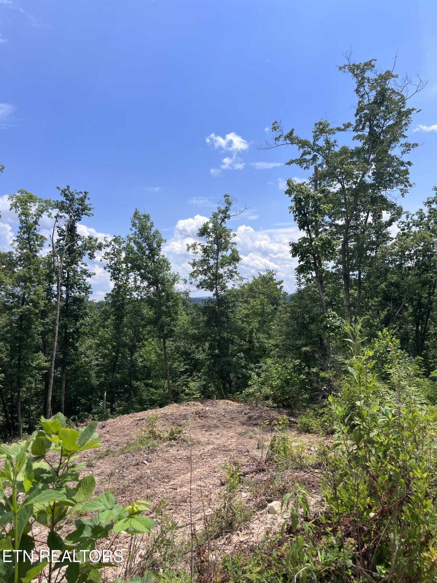 Tower Road Tazewell TN 37879