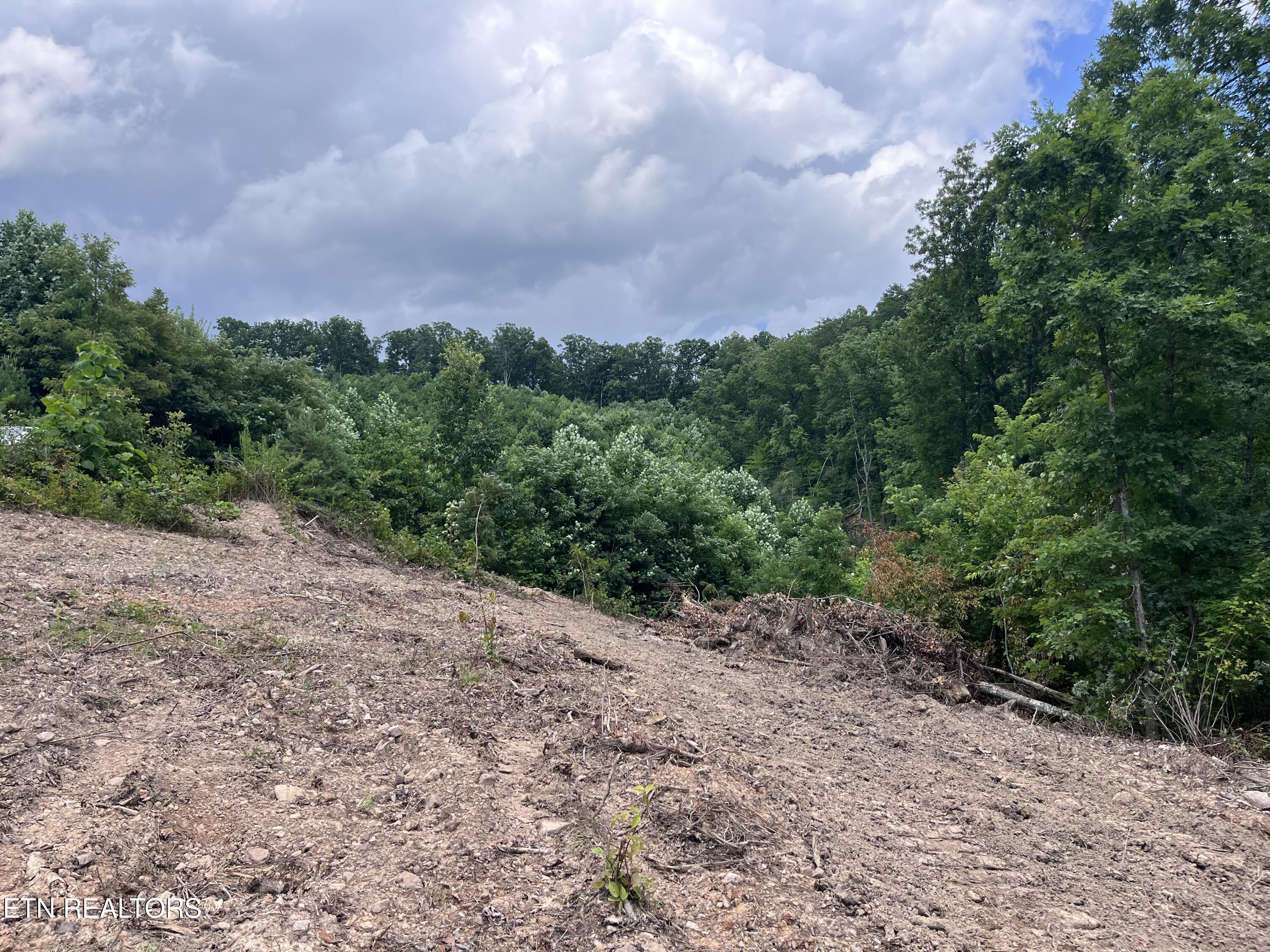 Tower Road Tazewell TN 37879