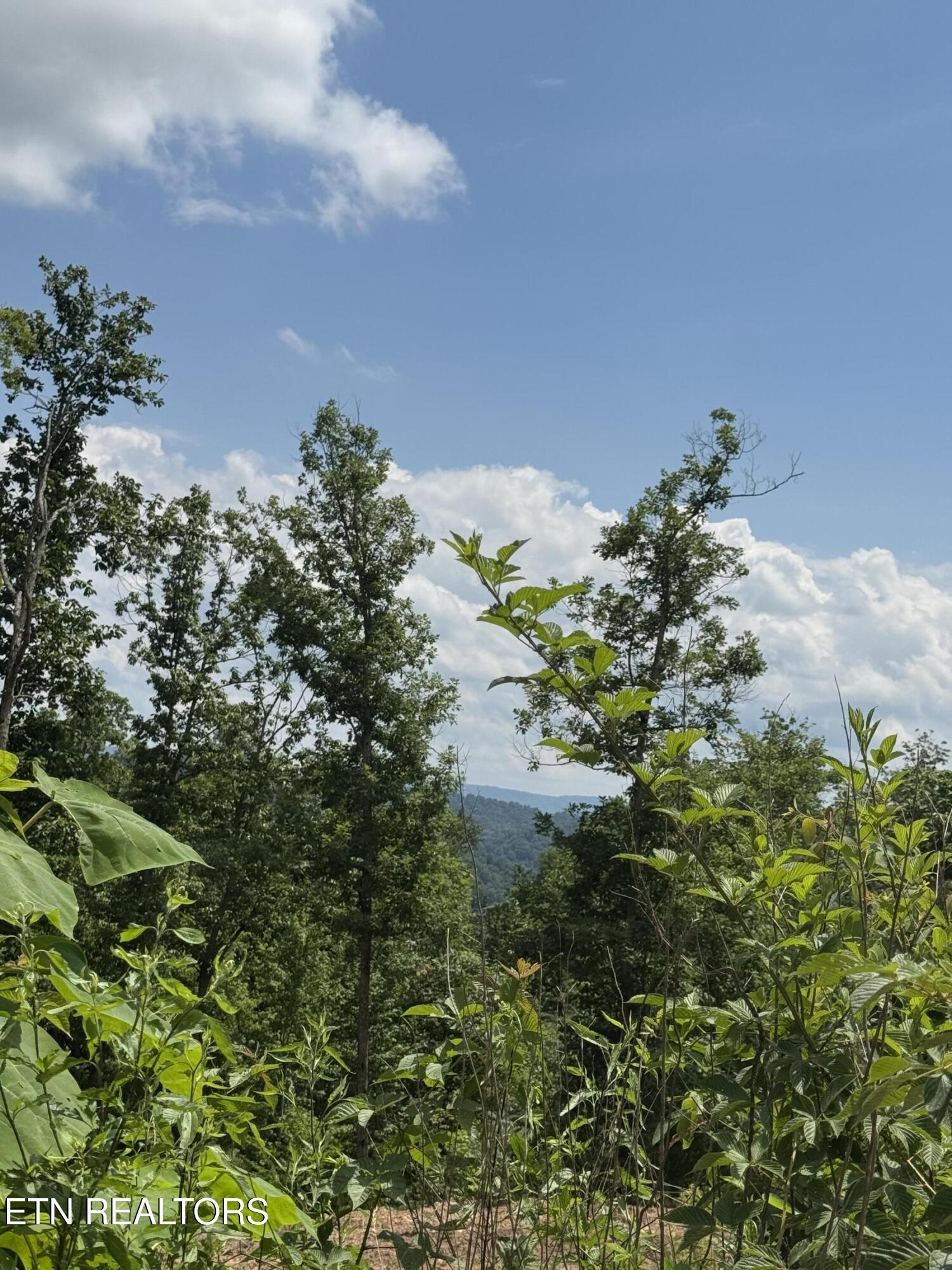 Tower Road Tazewell TN 37879