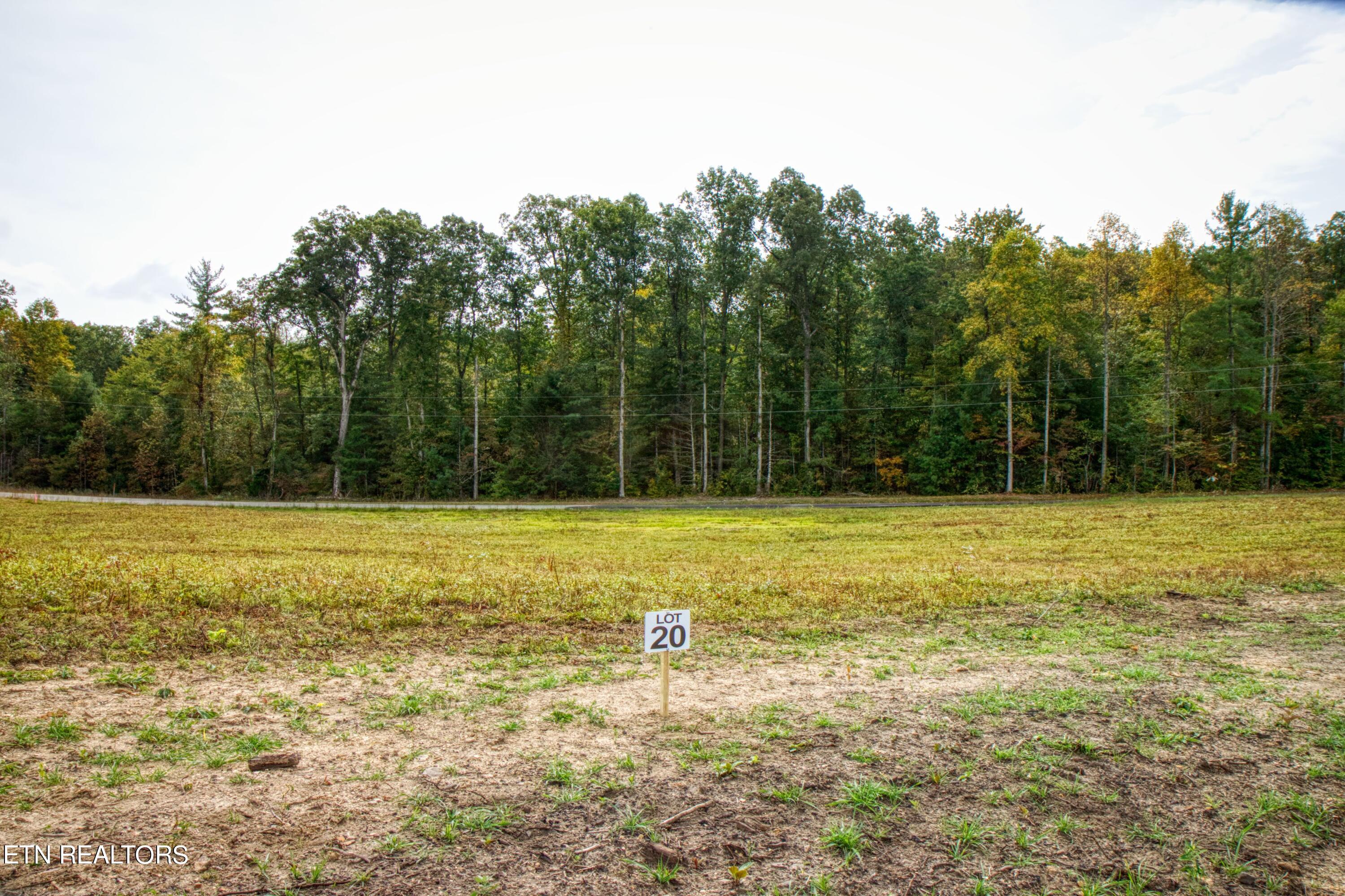 Lot 20 Old Mount Helen Road Allardt TN 38504