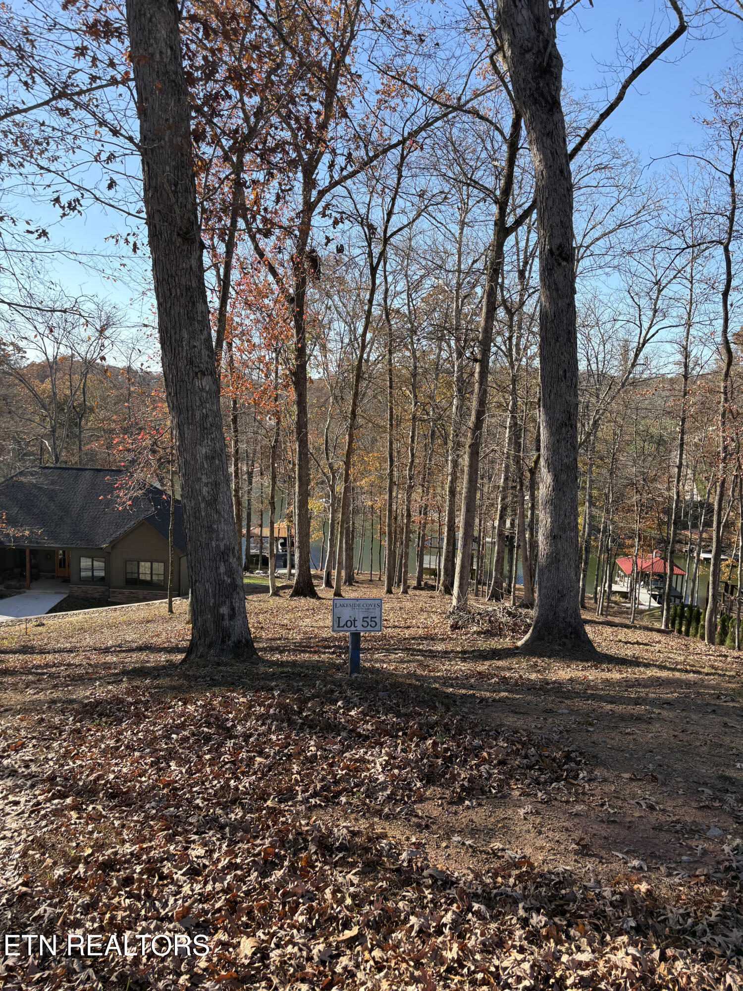 115 Cozy Cove Way Ten Mile TN 37880