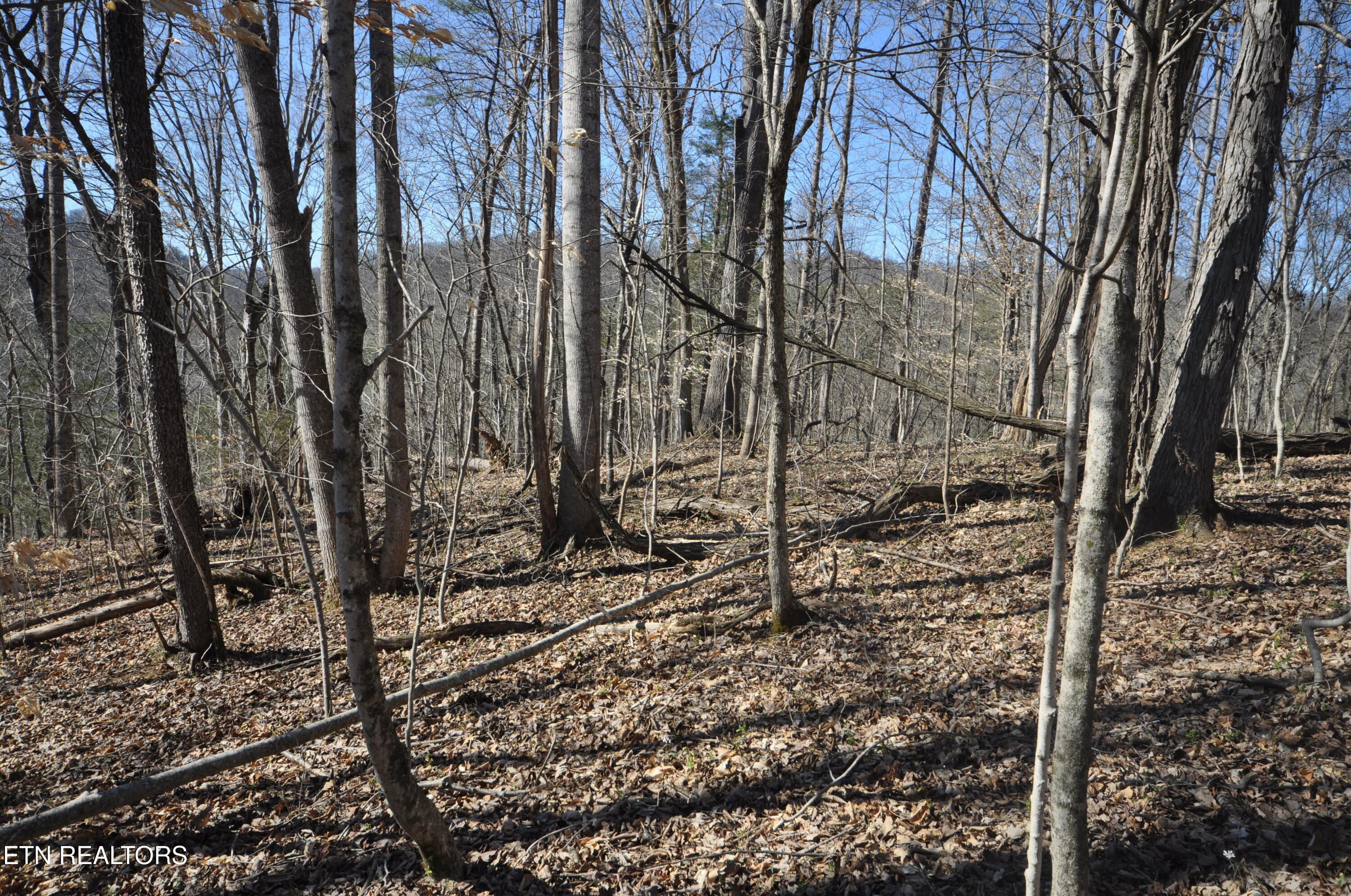 00 Old Tazewell Pike Luttrell TN 37779