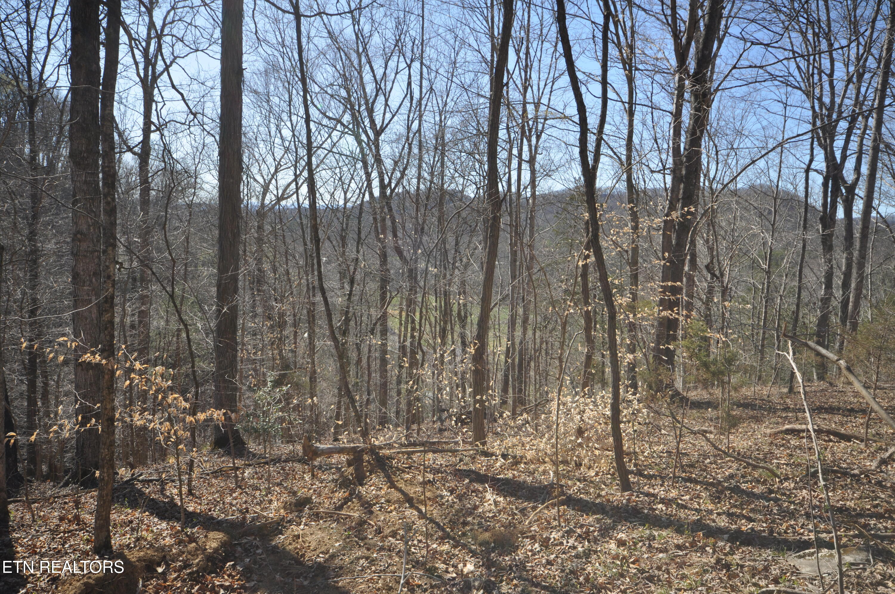 00 Old Tazewell Pike Luttrell TN 37779