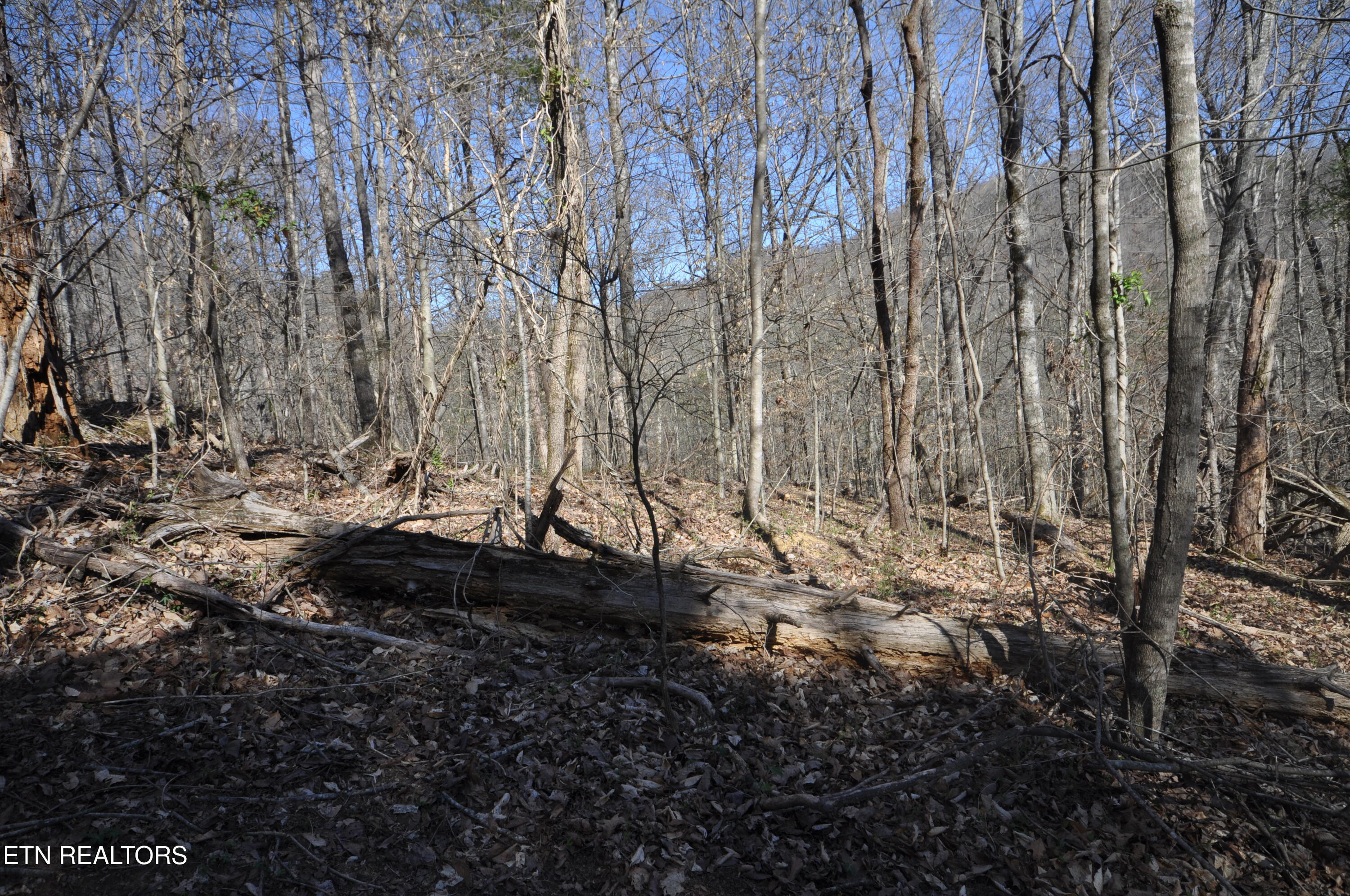 00 Old Tazewell Pike Luttrell TN 37779