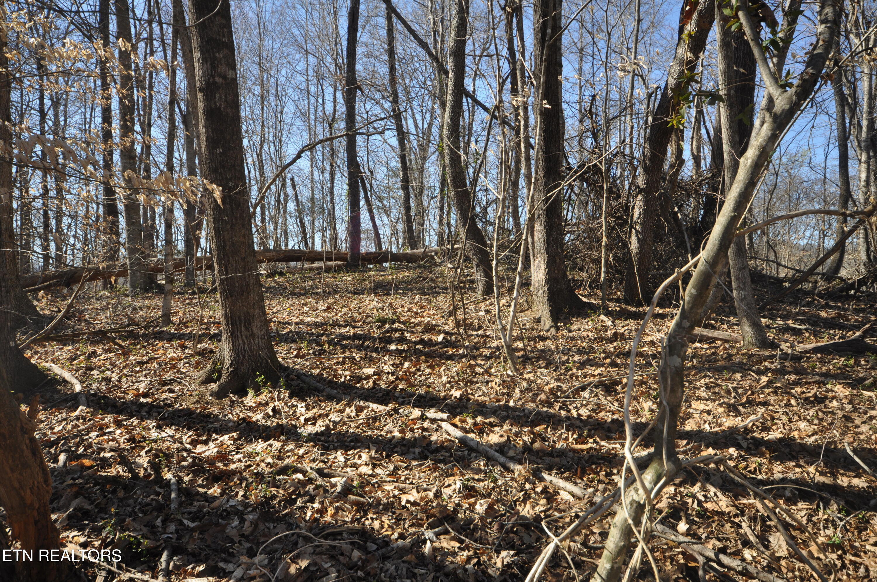 00 Old Tazewell Pike Luttrell TN 37779