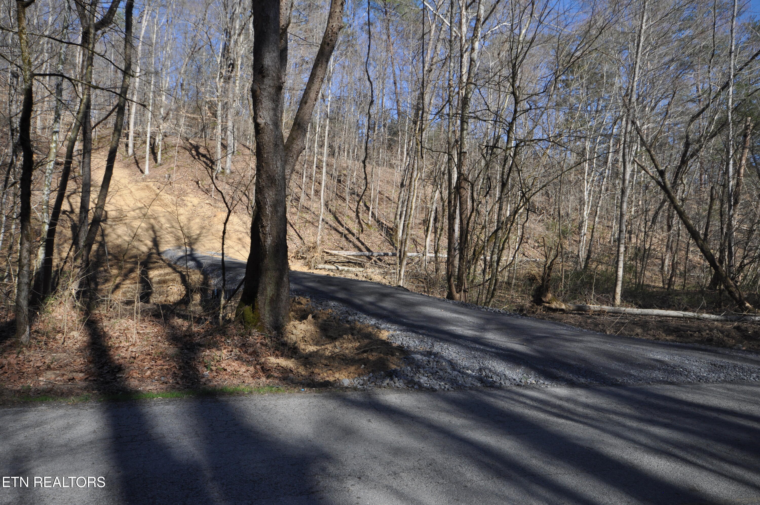 00 Old Tazewell Pike Luttrell TN 37779