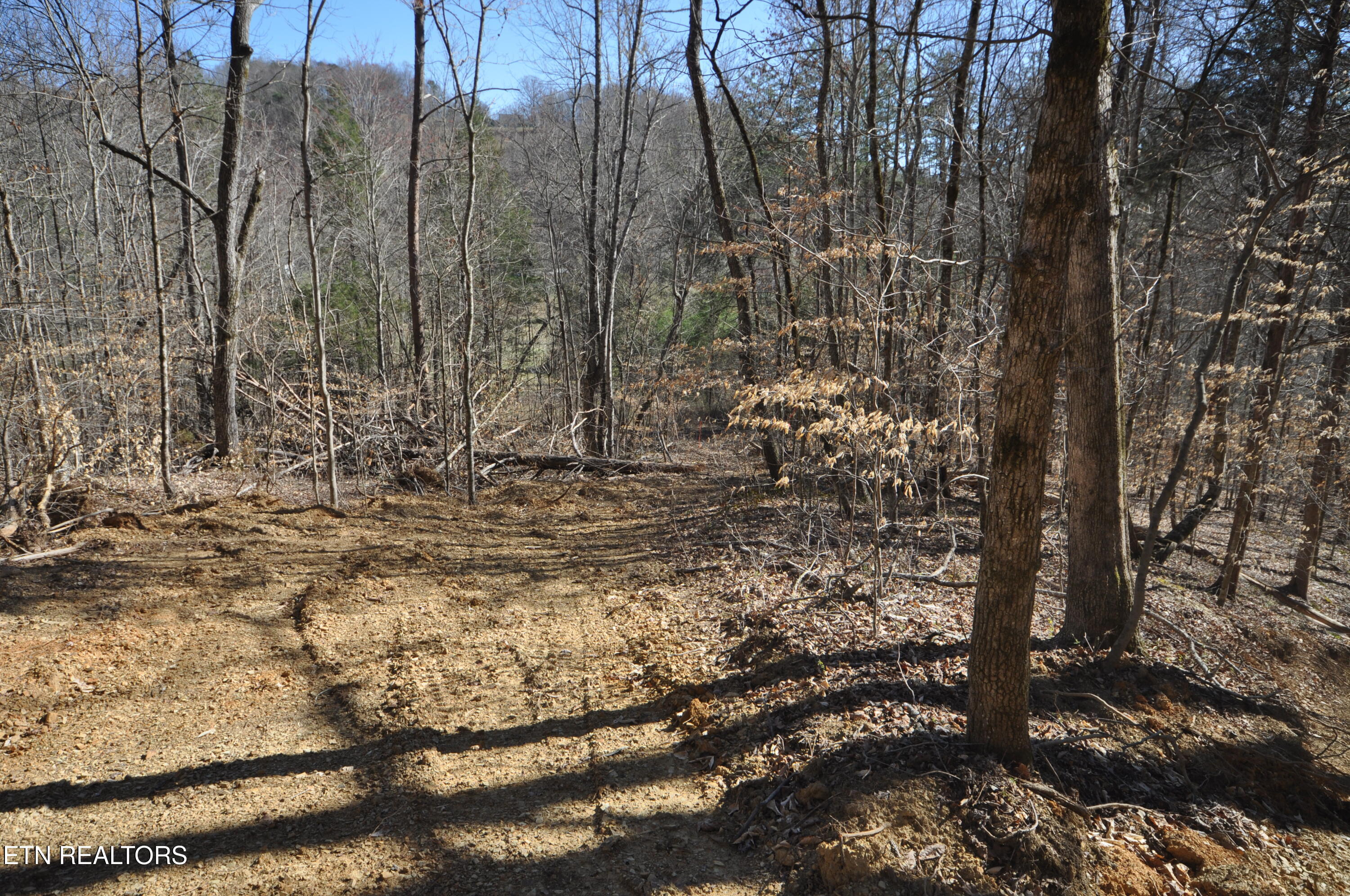 00 Old Tazewell Pike Luttrell TN 37779