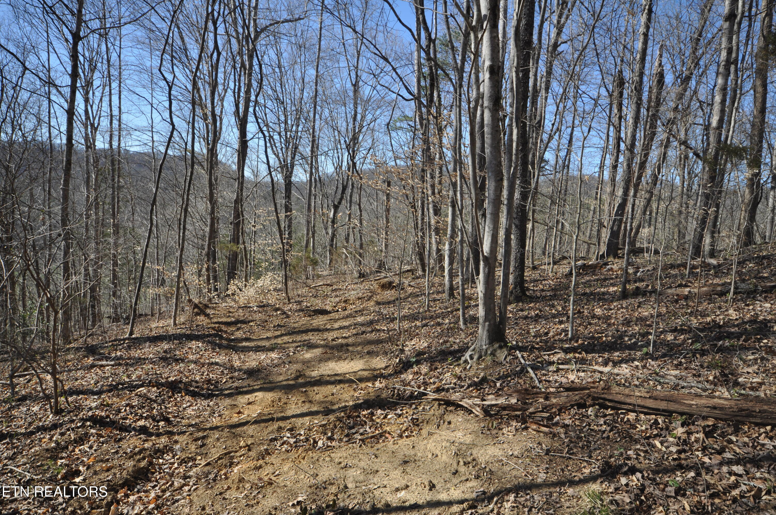 00 Old Tazewell Pike Luttrell TN 37779