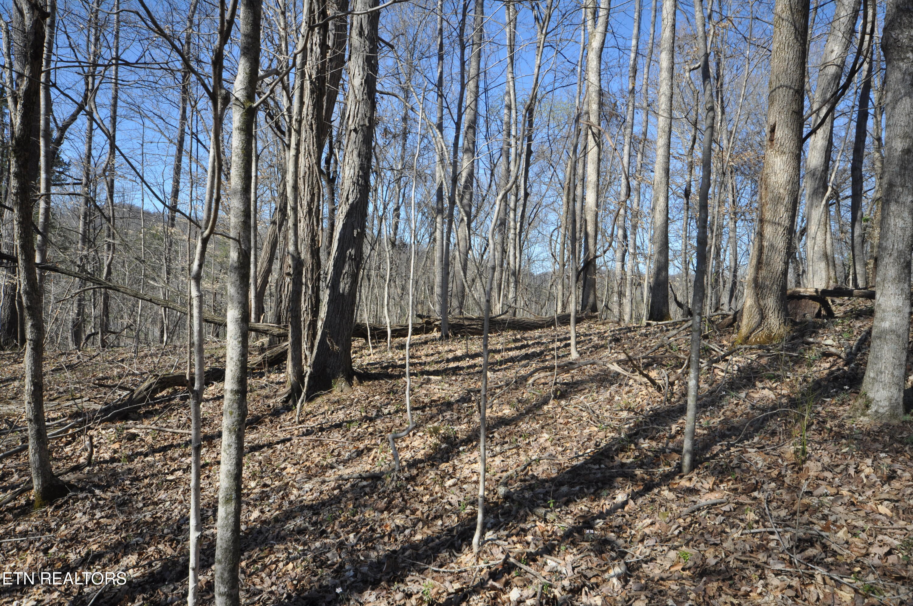 00 Old Tazewell Pike Luttrell TN 37779