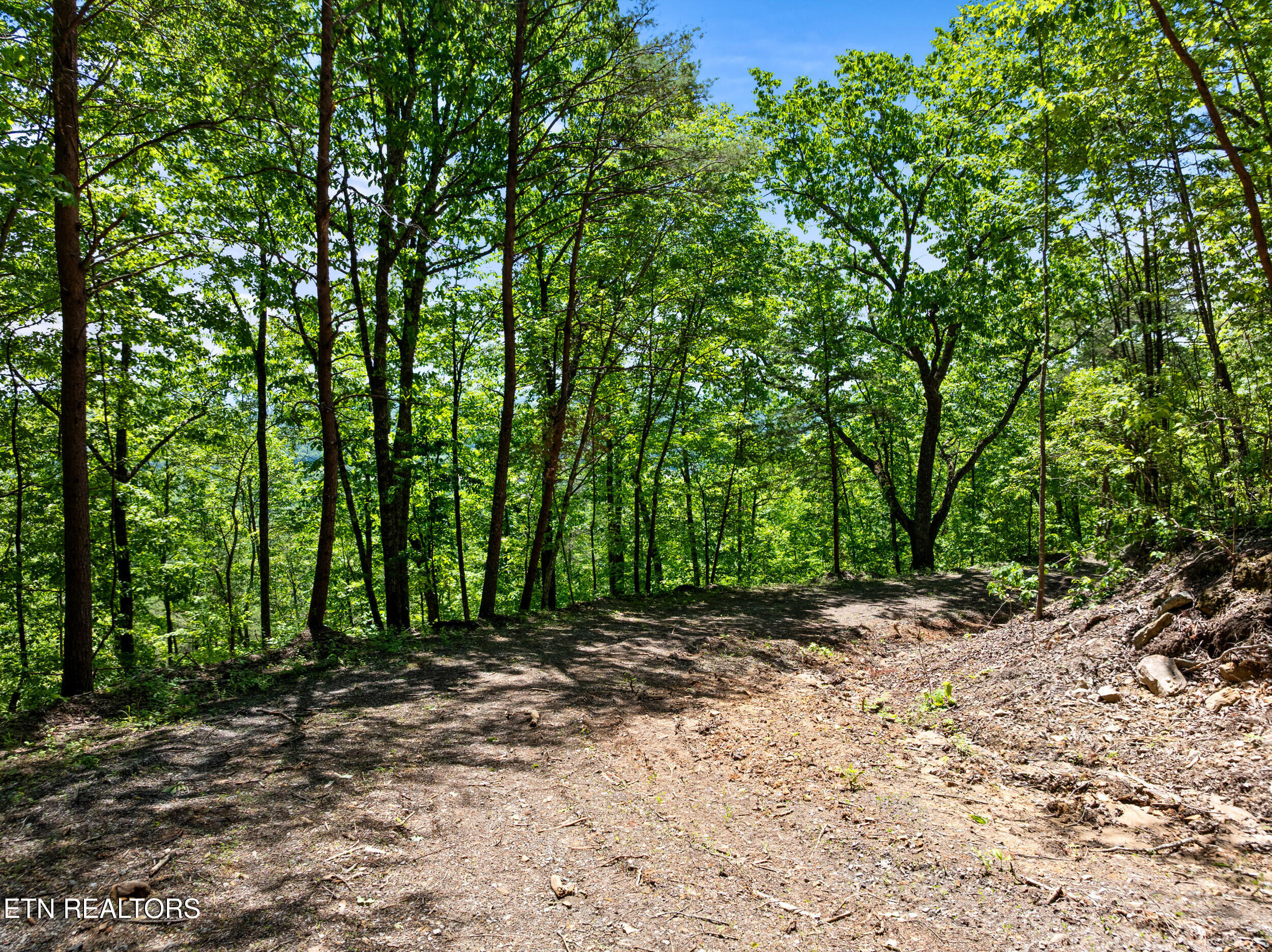 394 Ridgewood Road Harriman TN 37748