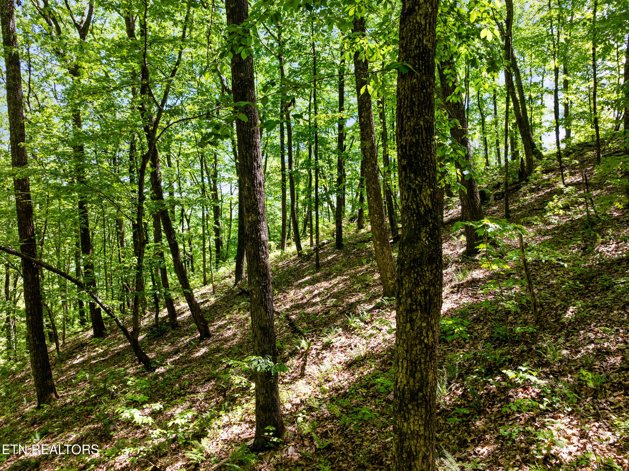394 Ridgewood Road Harriman TN 37748