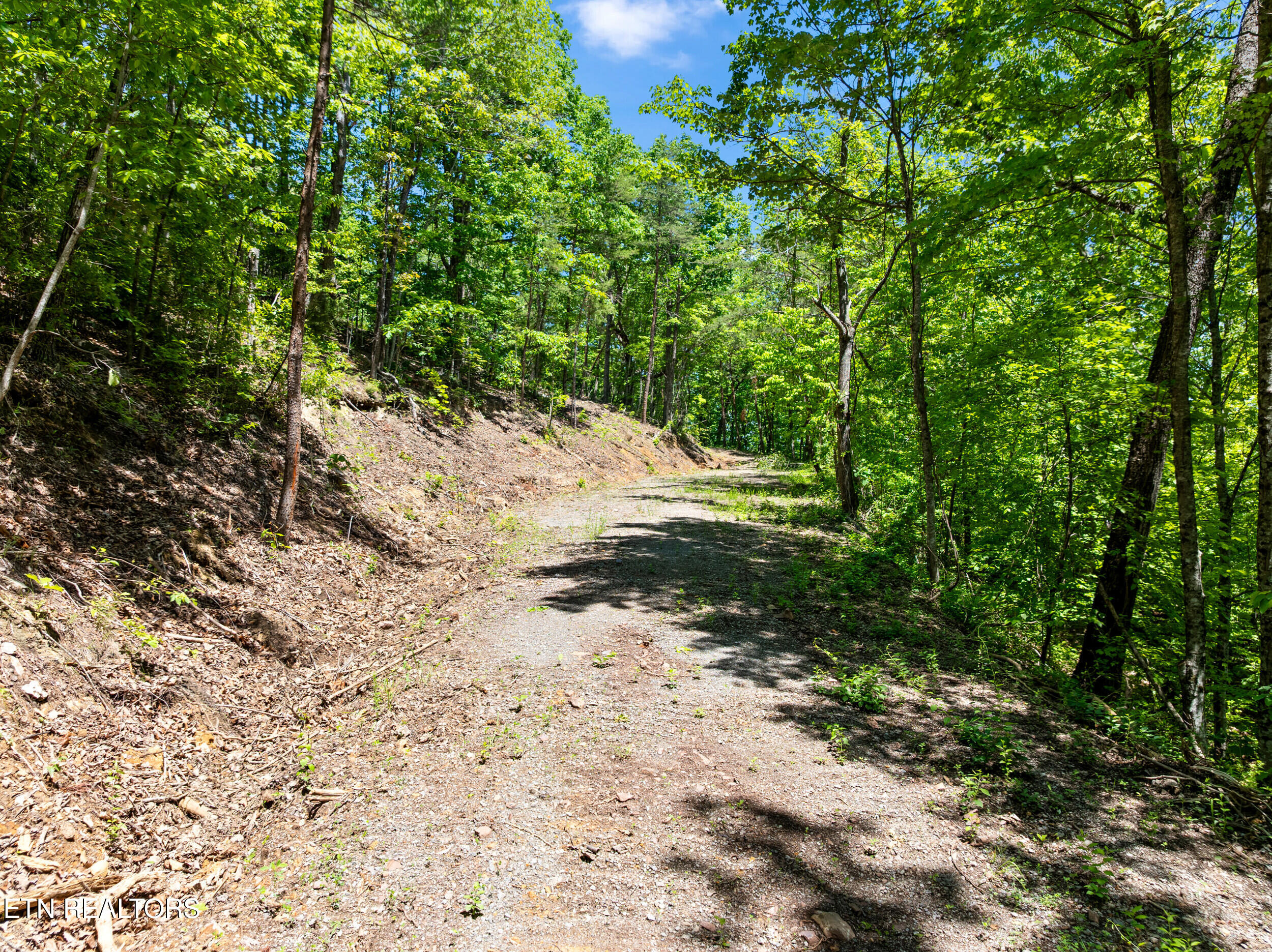 394 Ridgewood Road Harriman TN 37748