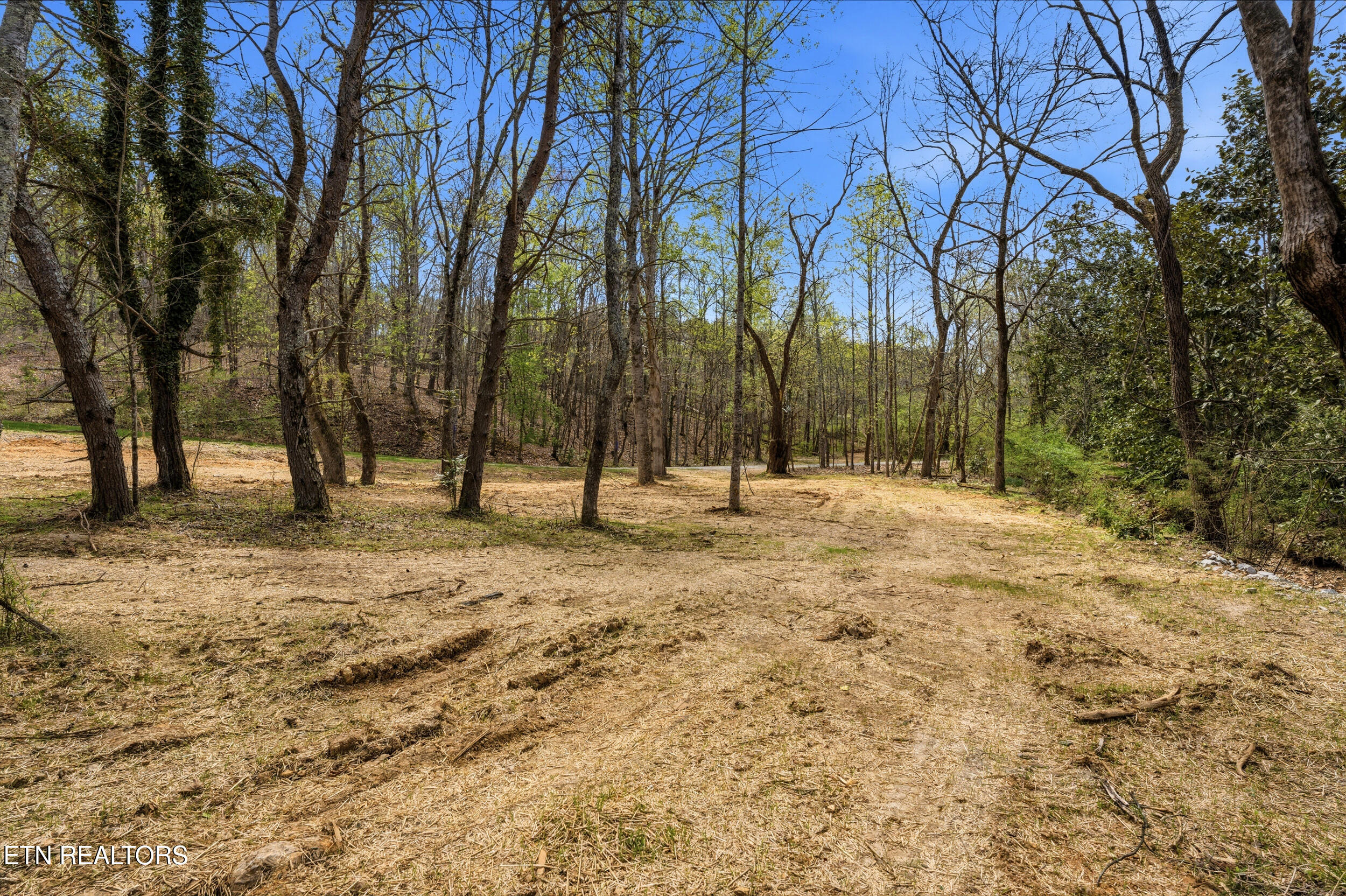 1750 Lakeland Drive Aka 1 Headricks Cove Lenoir City TN 37772