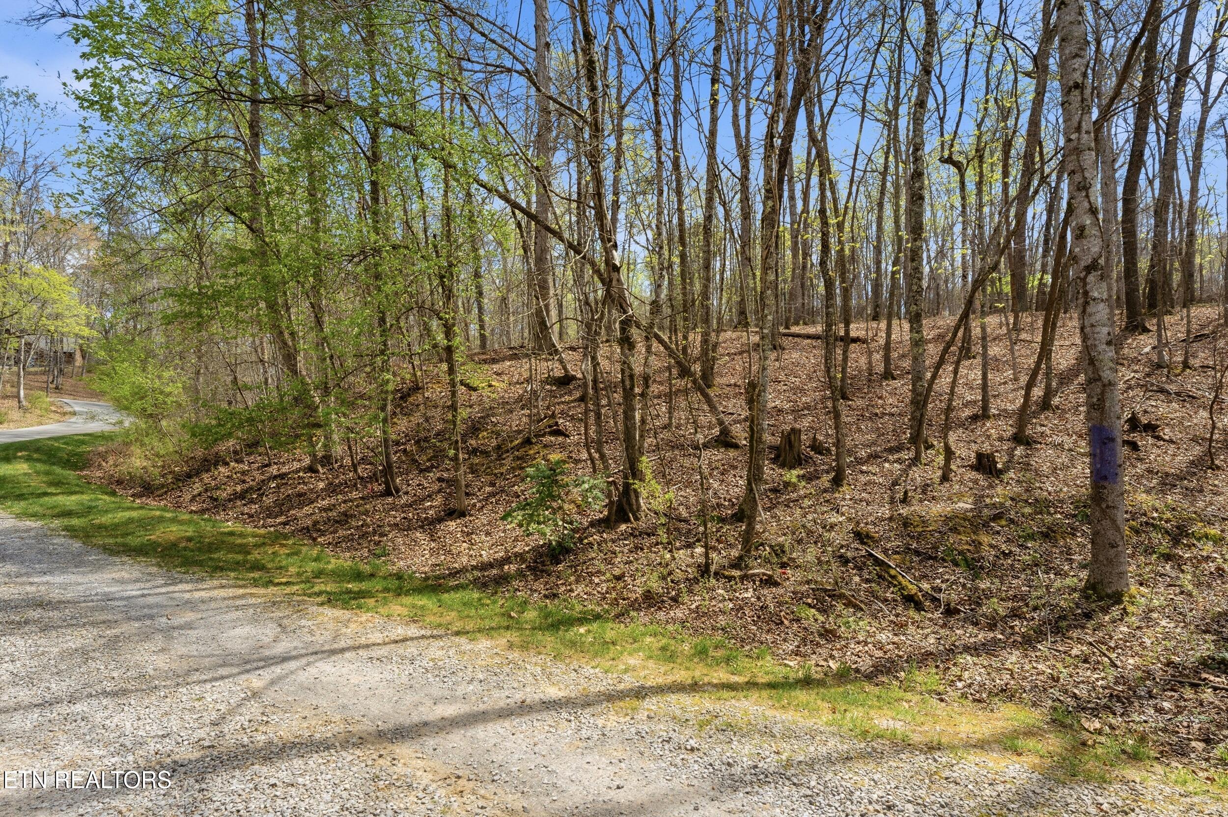 1750 Lakeland Drive Aka 1 Headricks Cove Lenoir City TN 37772