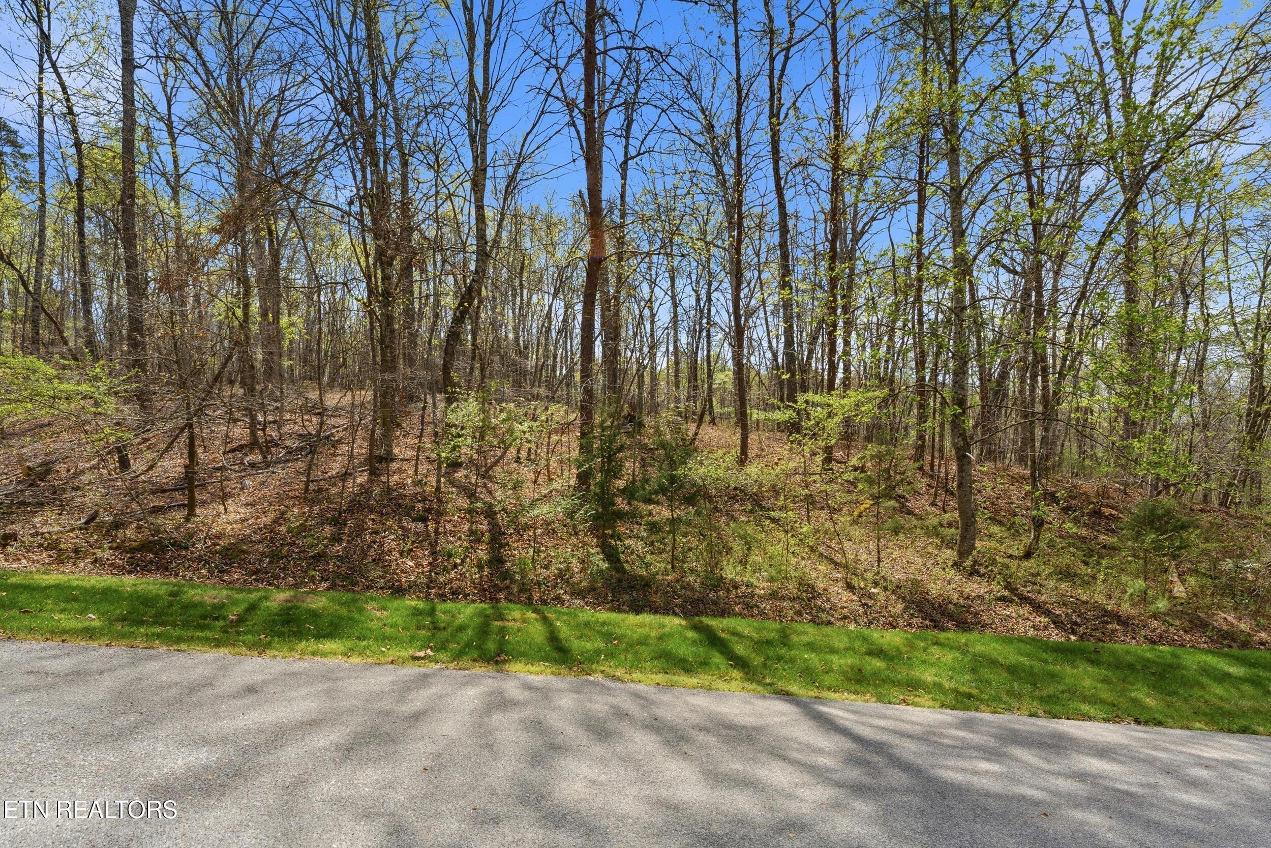 1750 Lakeland Drive Aka 1 Headricks Cove Lenoir City TN 37772