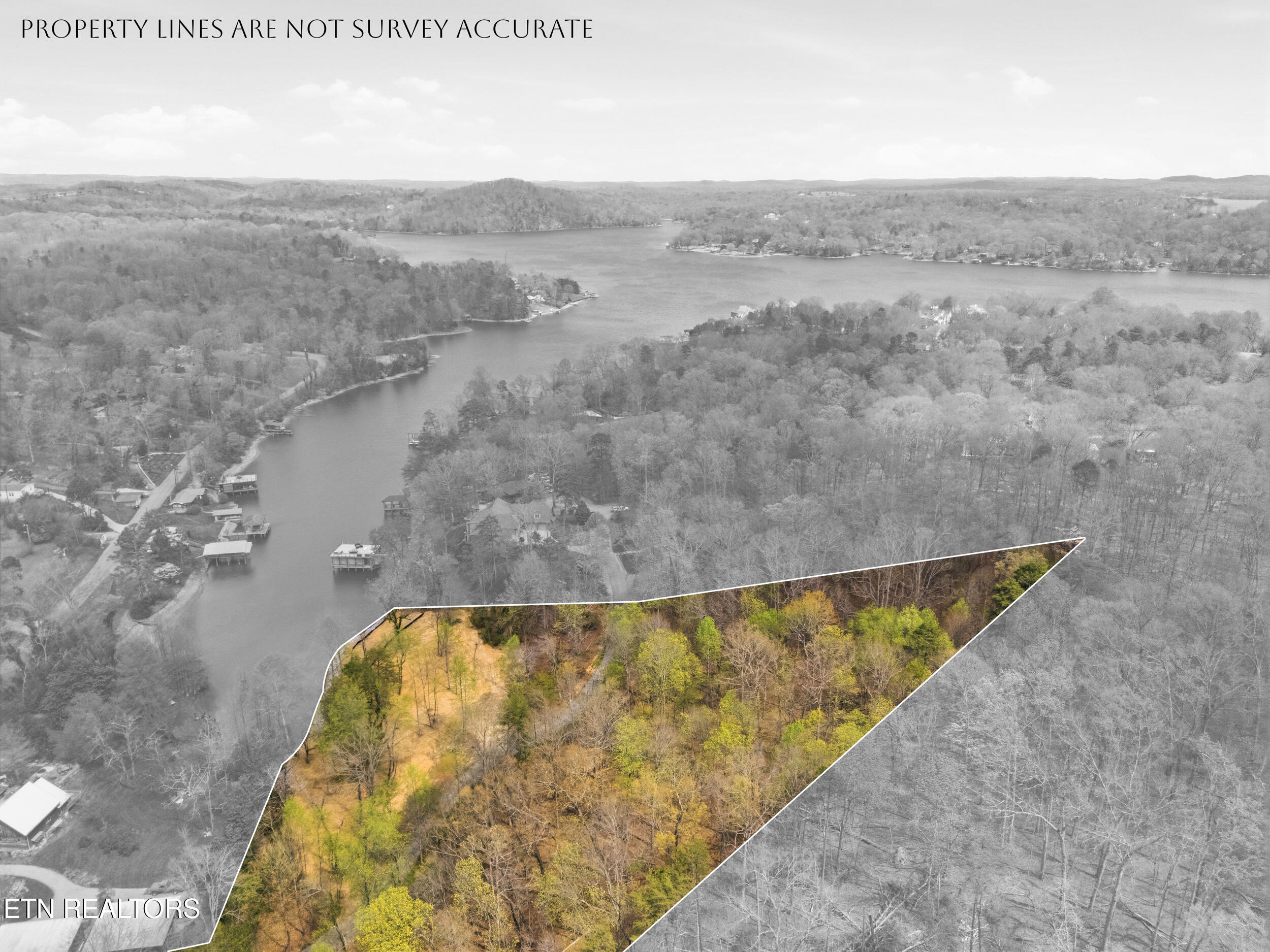 1750 Lakeland Drive Aka 1 Headricks Cove Lenoir City TN 37772