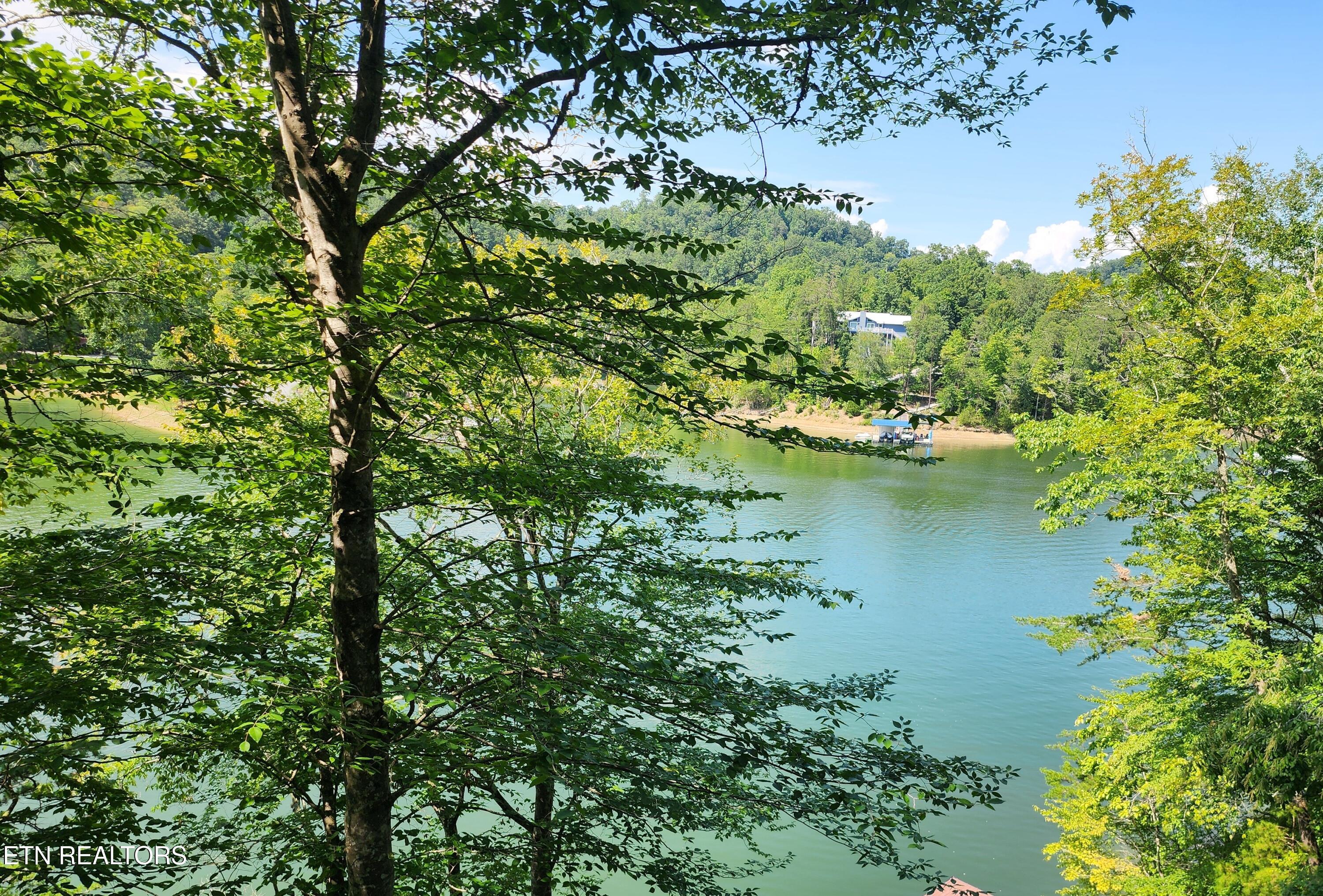 26 Lot Rockfish Point New Tazewell TN 37825