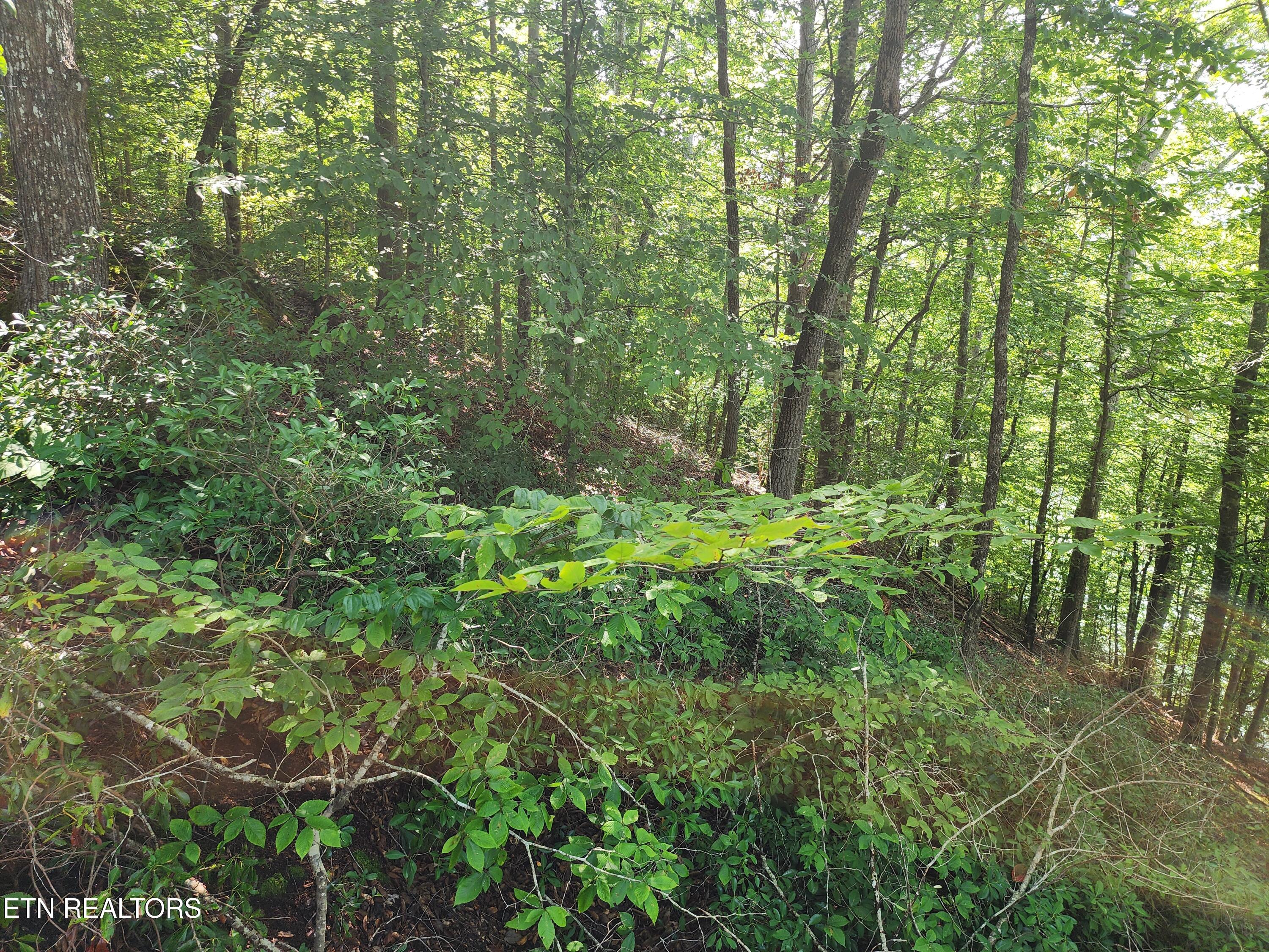 26 Lot Rockfish Point New Tazewell TN 37825