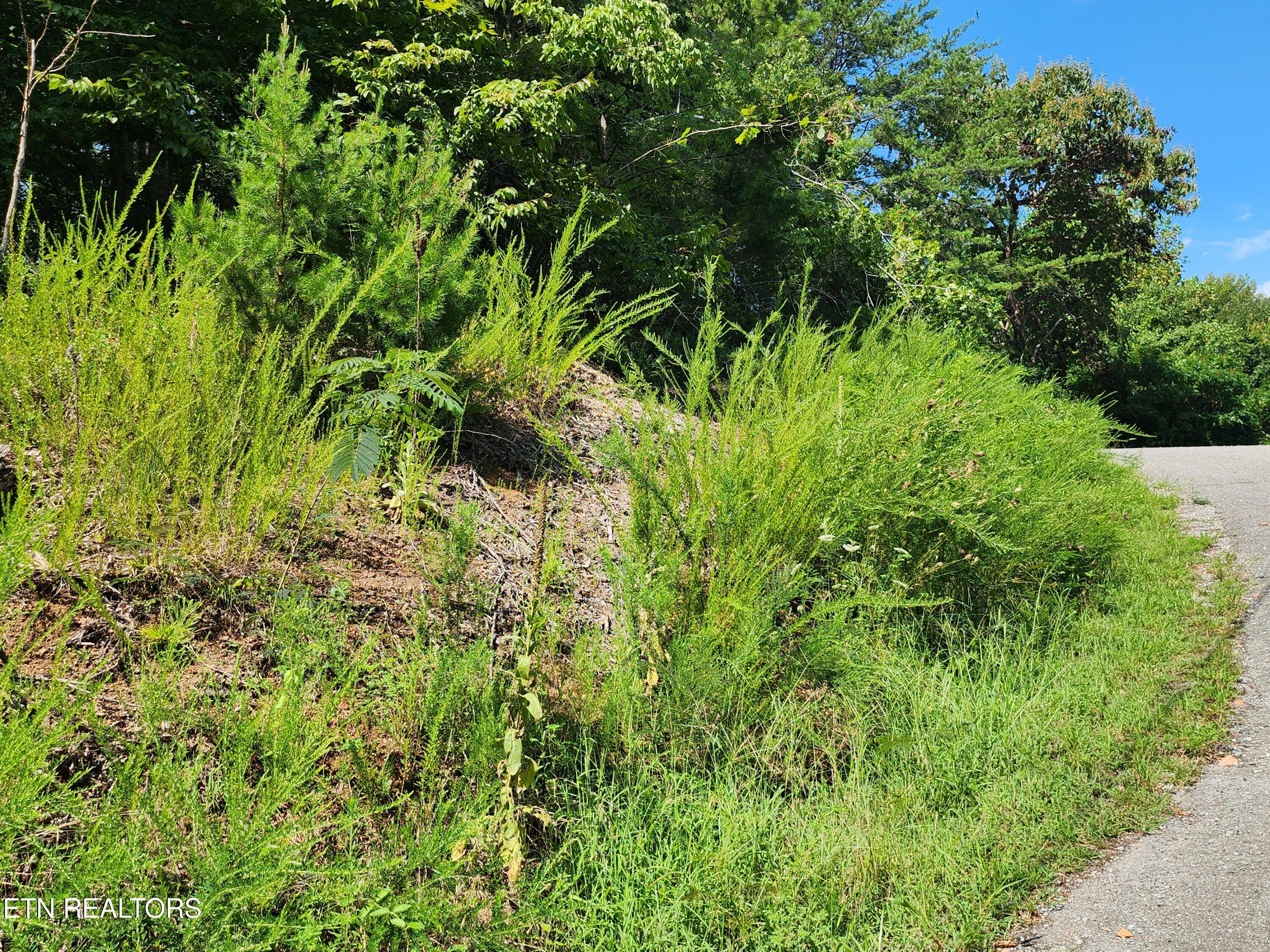 26 Lot Rockfish Point New Tazewell TN 37825