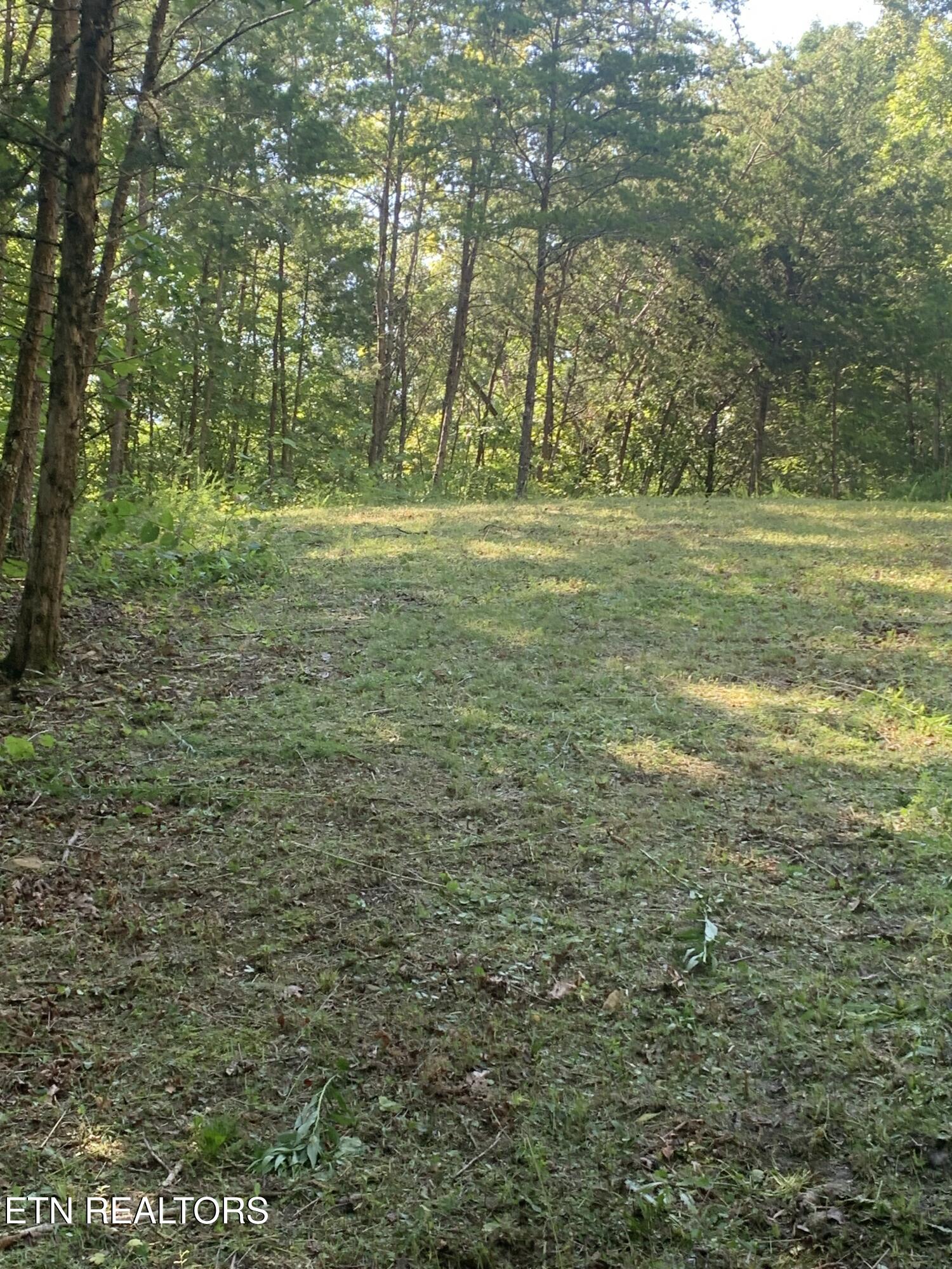 Vera Lane Dandridge TN 37725