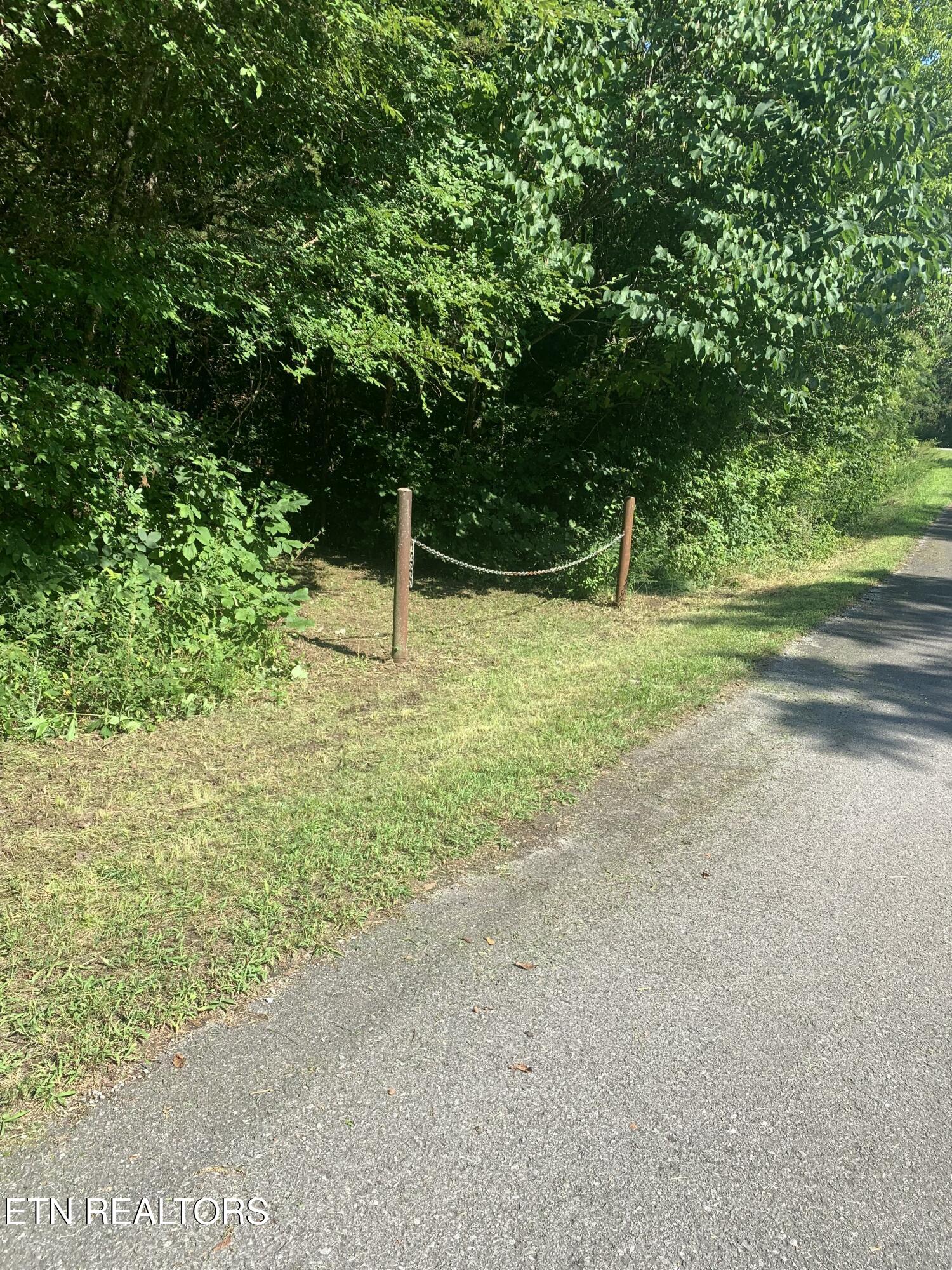 Vera Lane Dandridge TN 37725