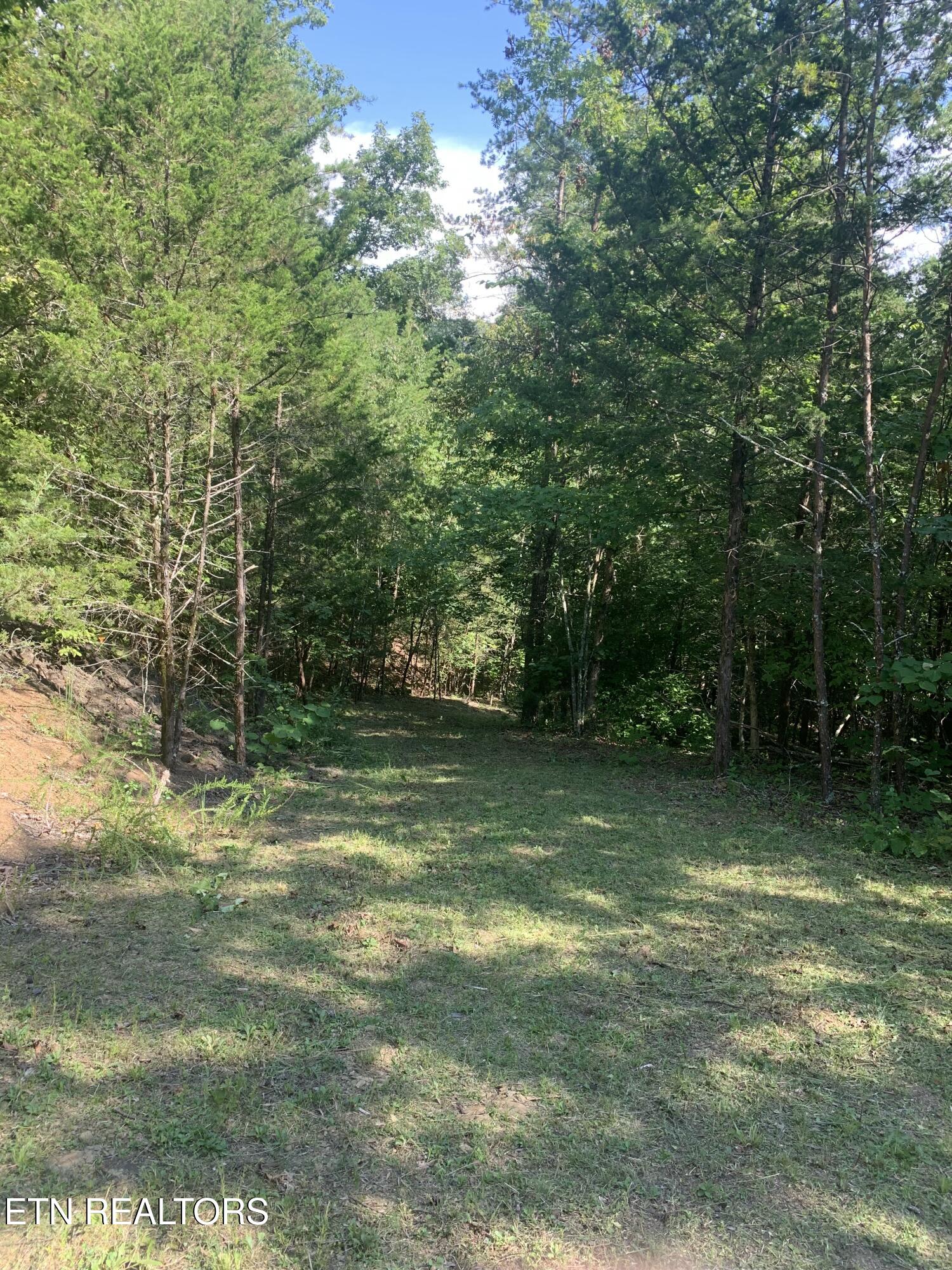 Vera Lane Dandridge TN 37725