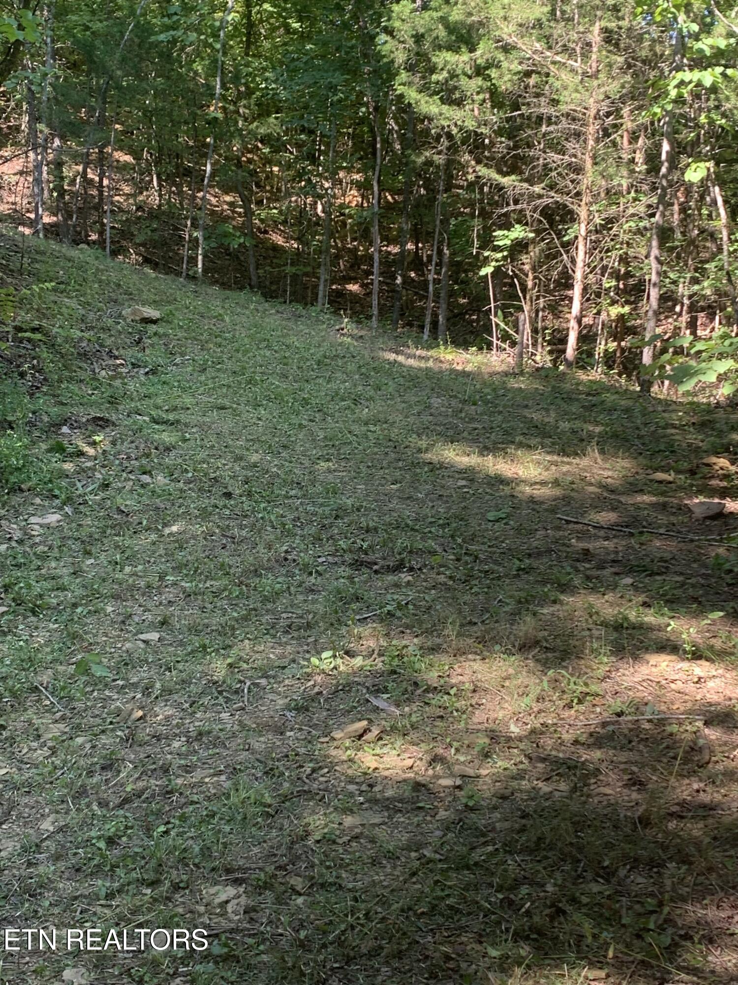 Vera Lane Dandridge TN 37725