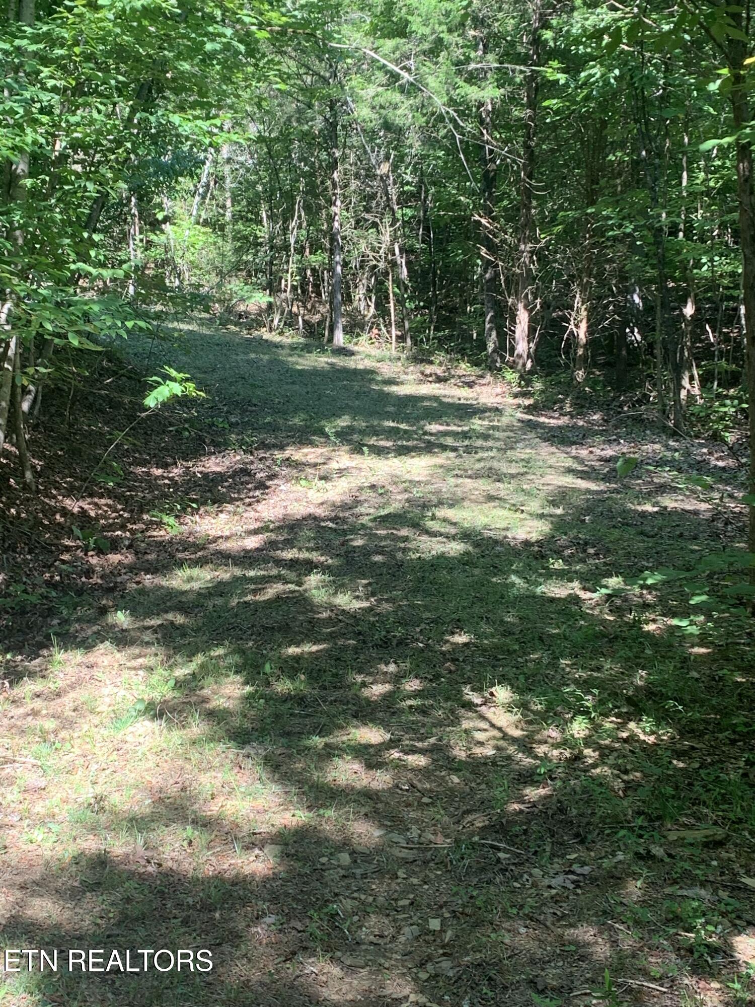 Vera Lane Dandridge TN 37725