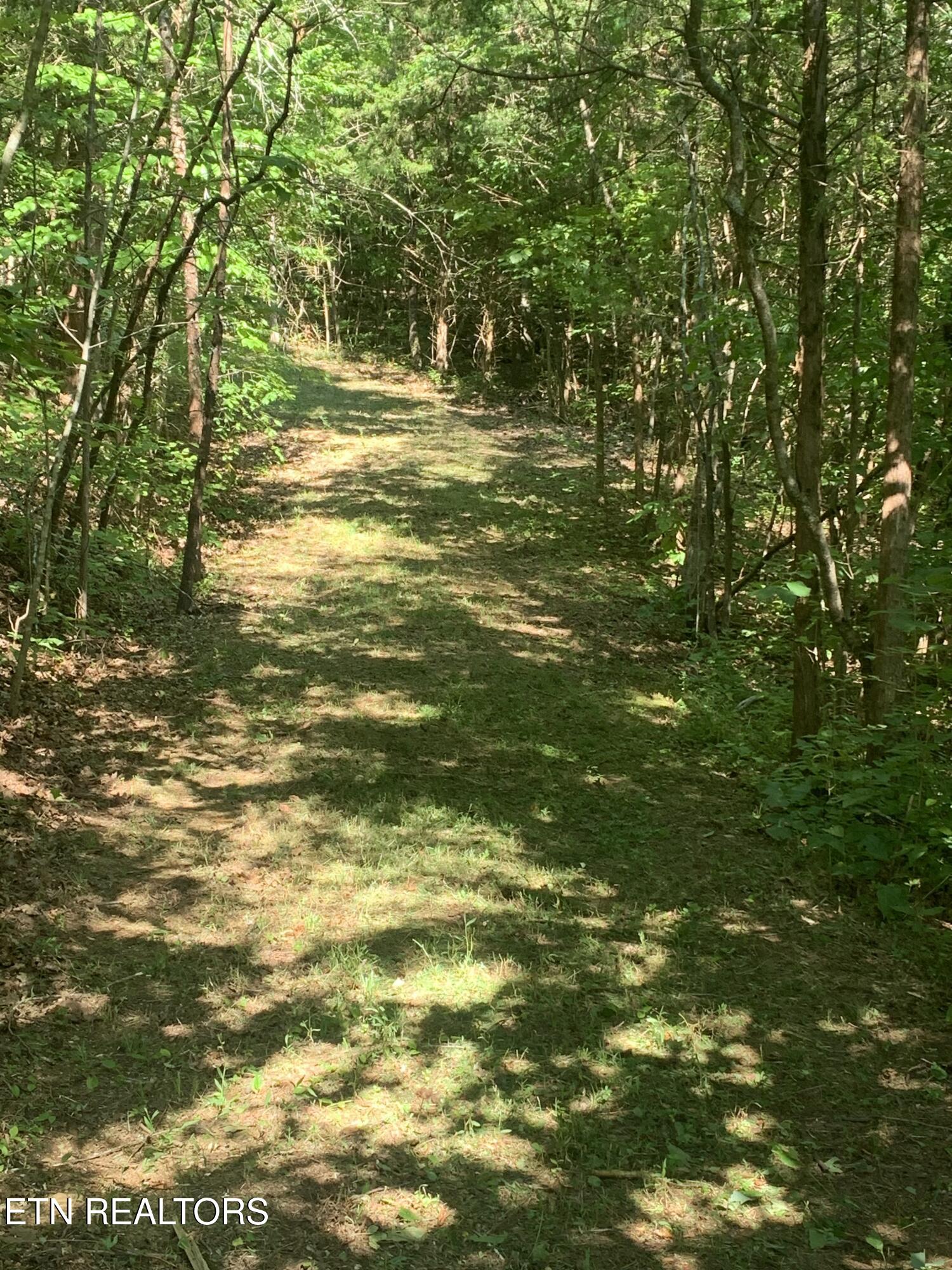 Vera Lane Dandridge TN 37725