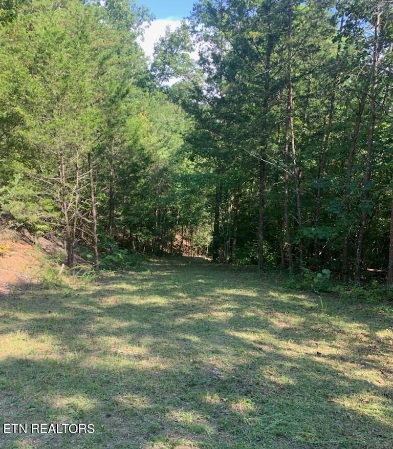 Vera Lane Dandridge TN 37725