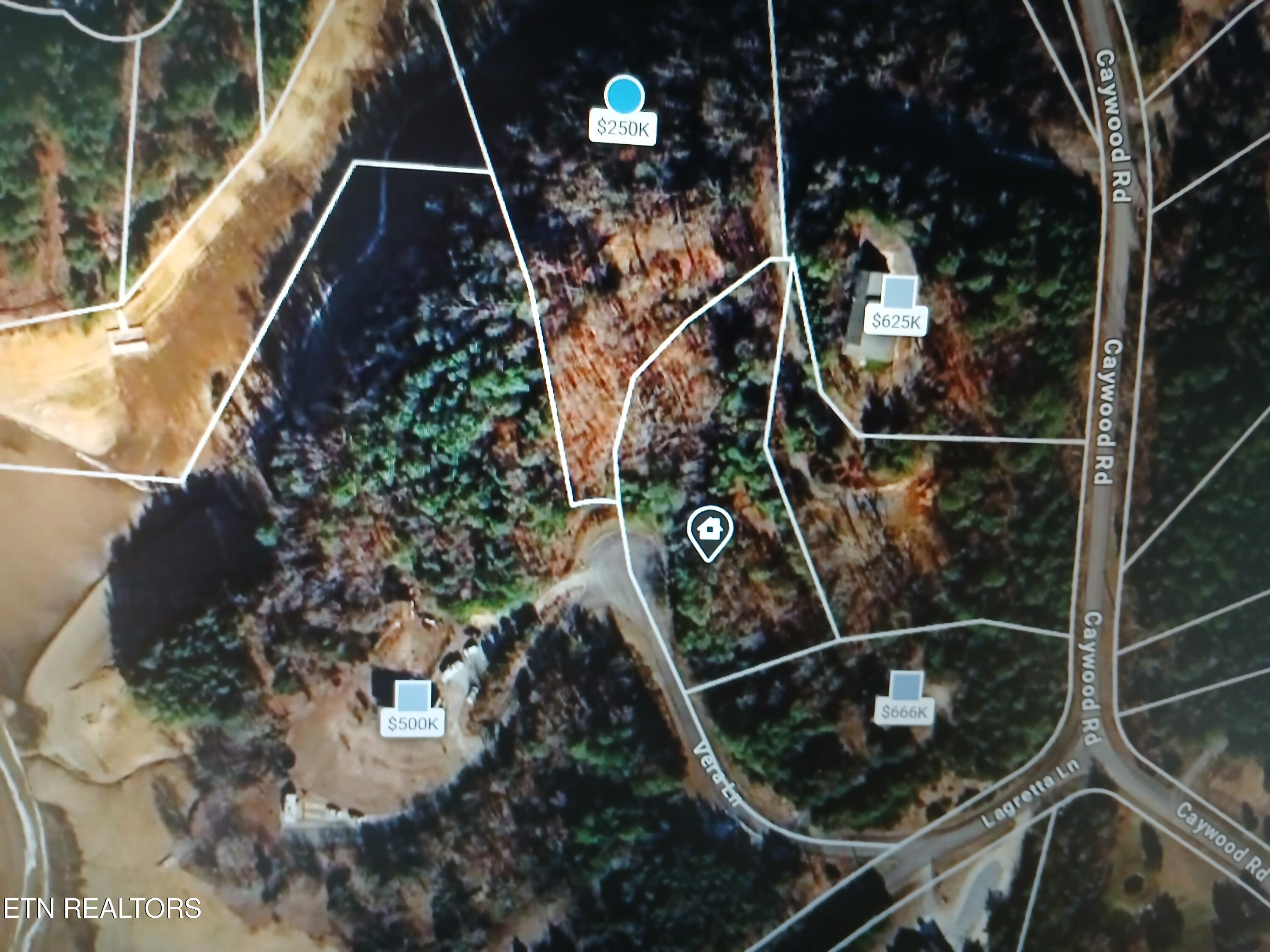 Vera Lane Dandridge TN 37725