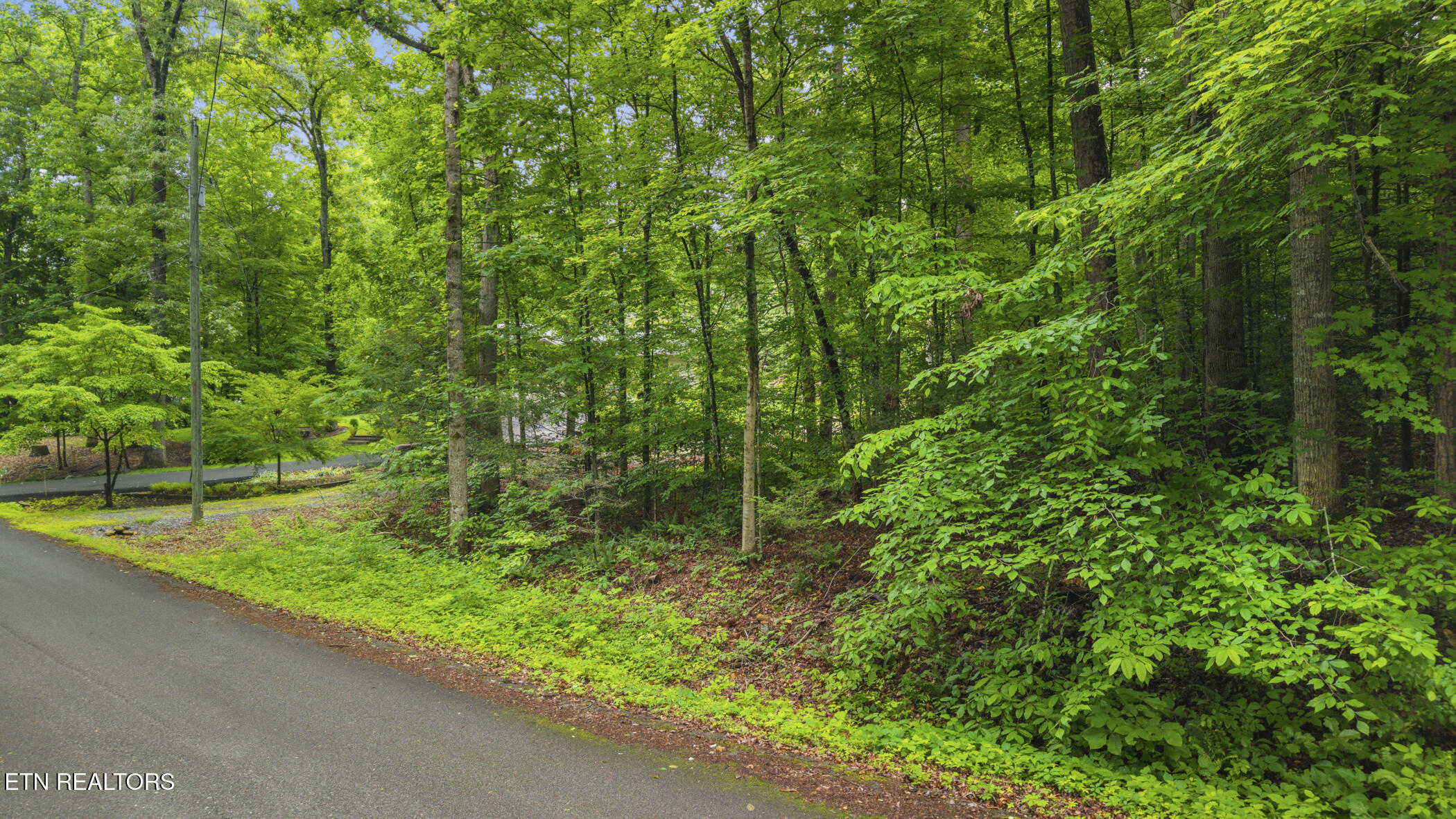 Peach Tree Street Sevierville TN 37862
