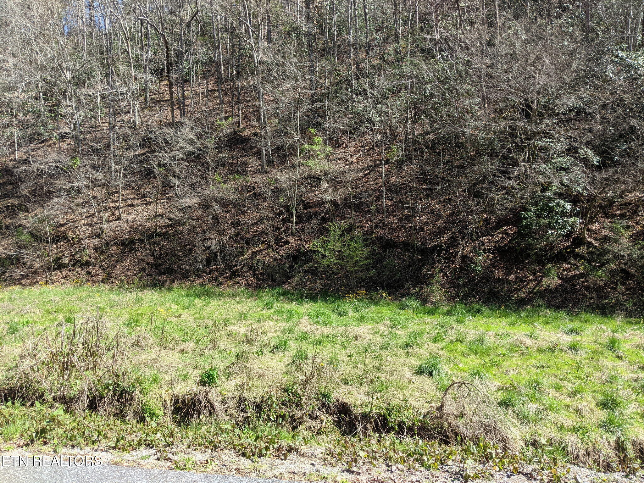 760 Black Branch Road Del Rio TN 37727