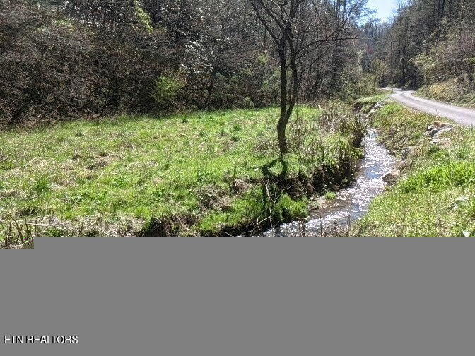 760 Black Branch Road Del Rio TN 37727