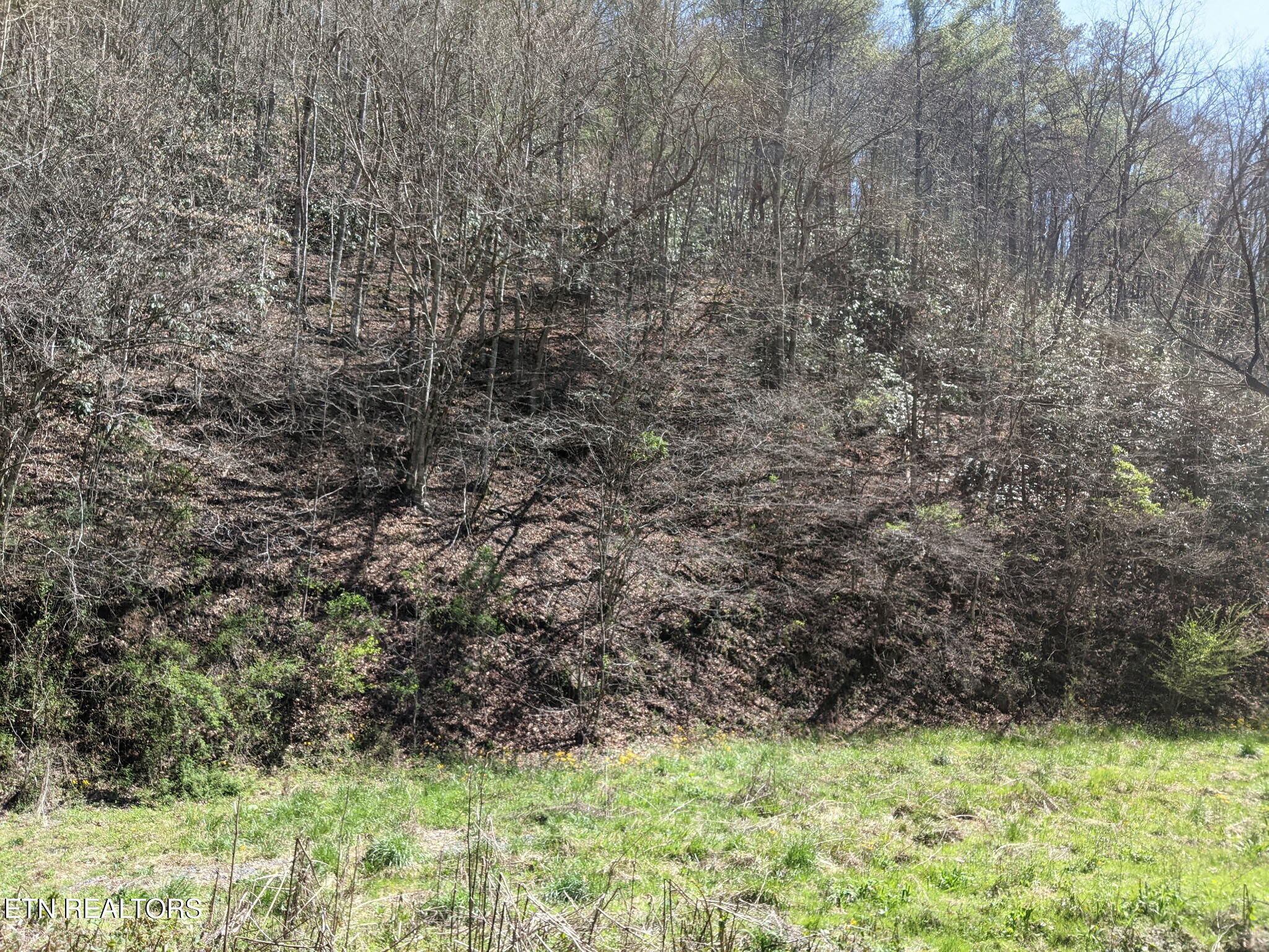 760 Black Branch Road Del Rio TN 37727