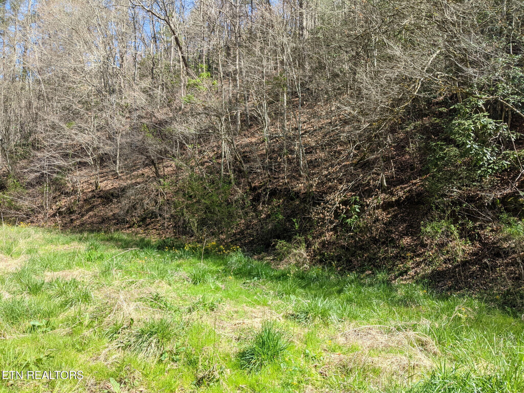 760 Black Branch Road Del Rio TN 37727
